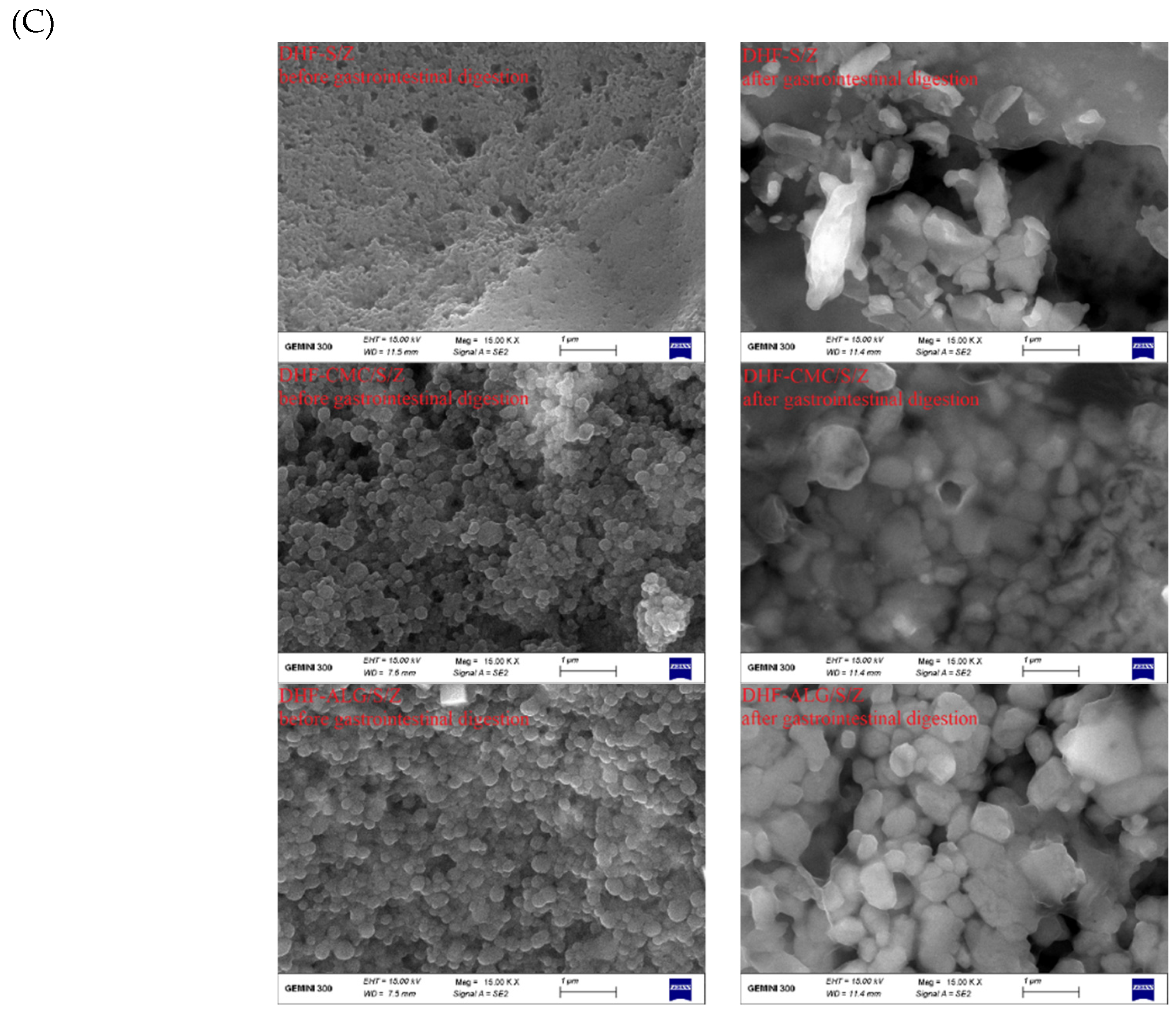 Foods 10 02629 g009b 550