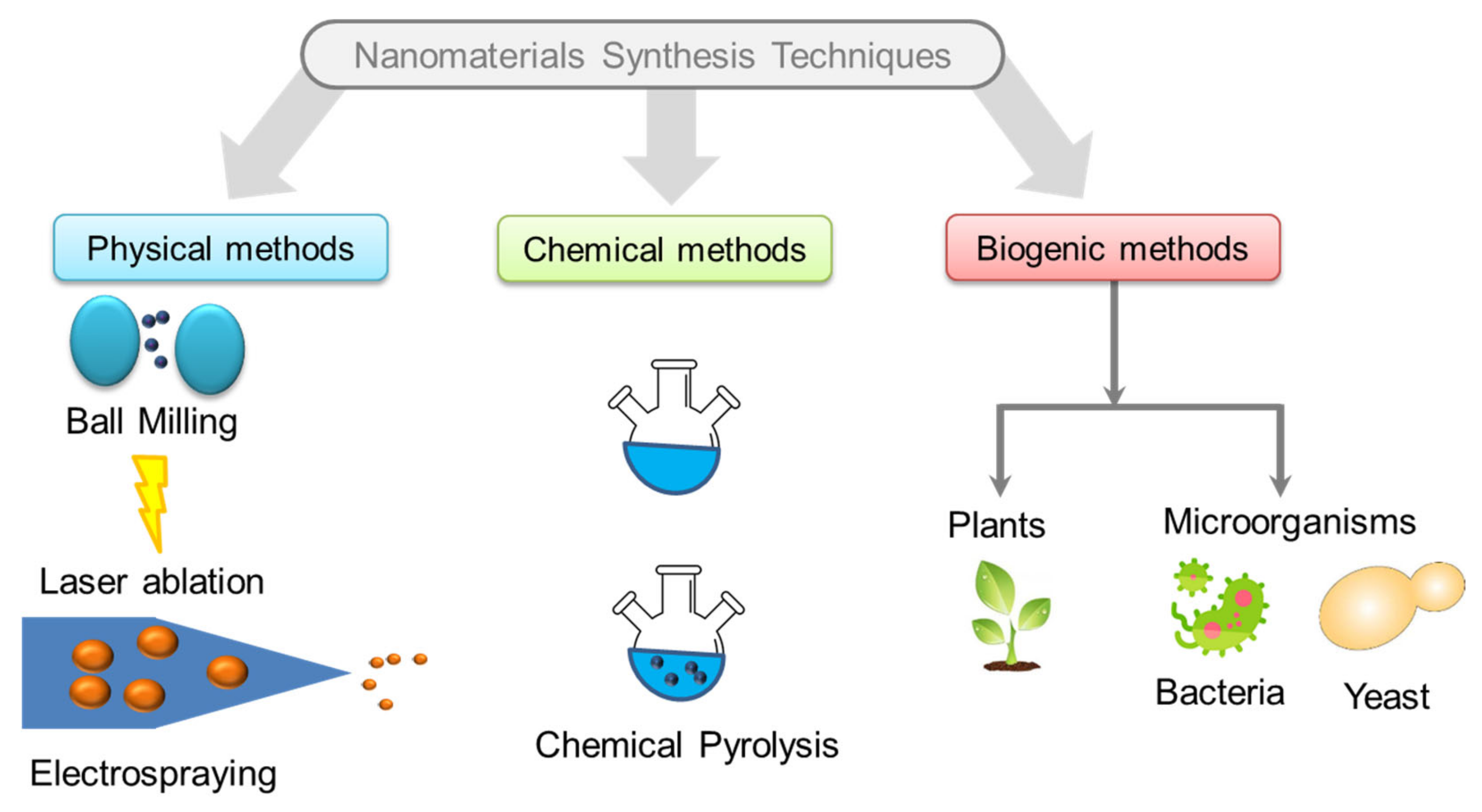 Foods 10 02633 g001 Foods 10 02633 g001