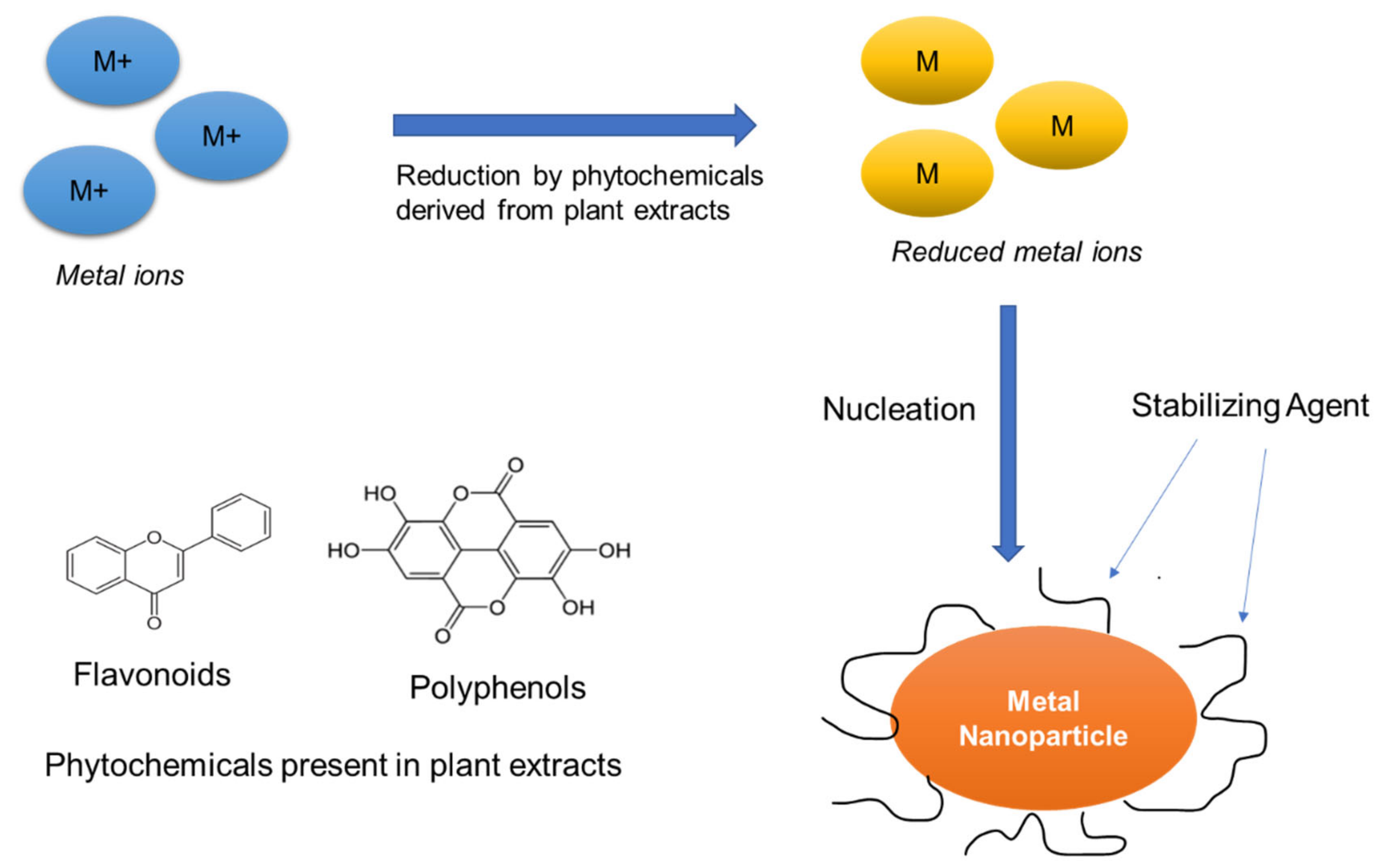 Foods 10 02633 g002 Foods 10 02633 g002