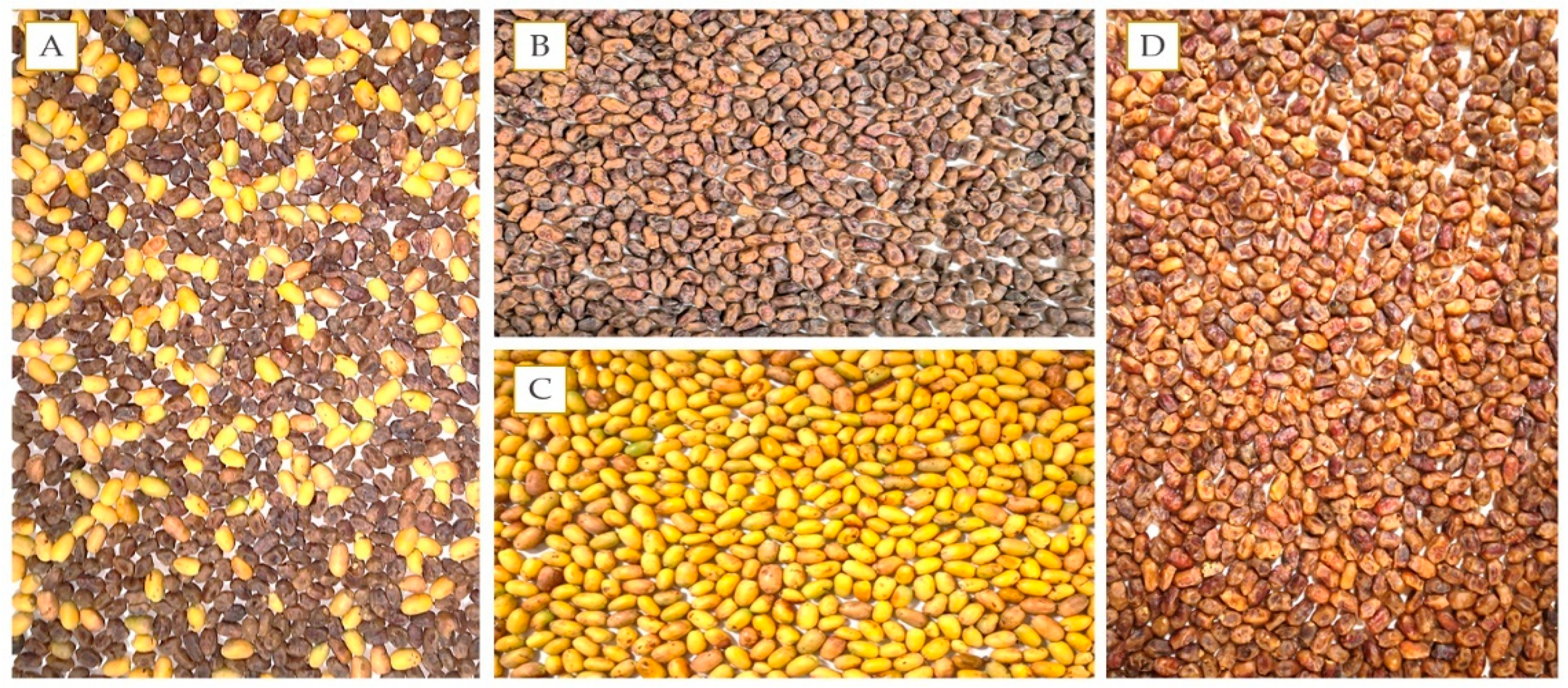 Foods 10 02636 g001 550