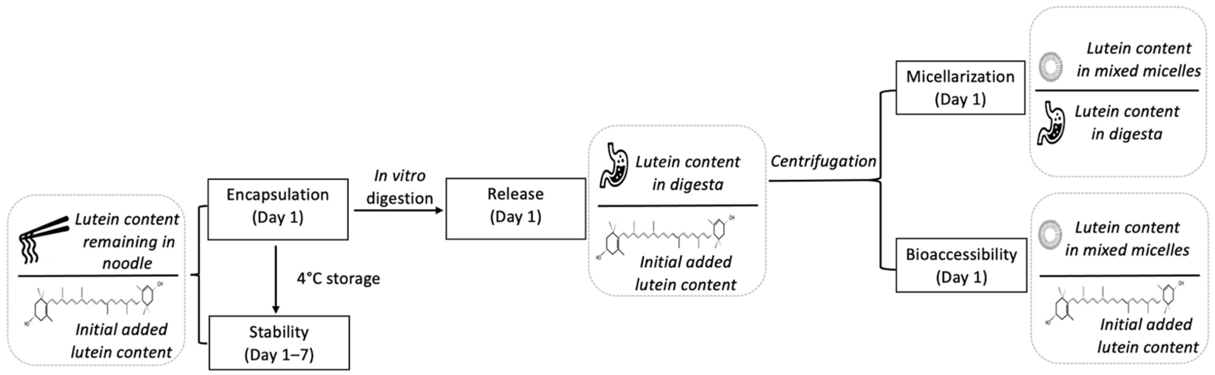 Foods 10 02646 g002 550