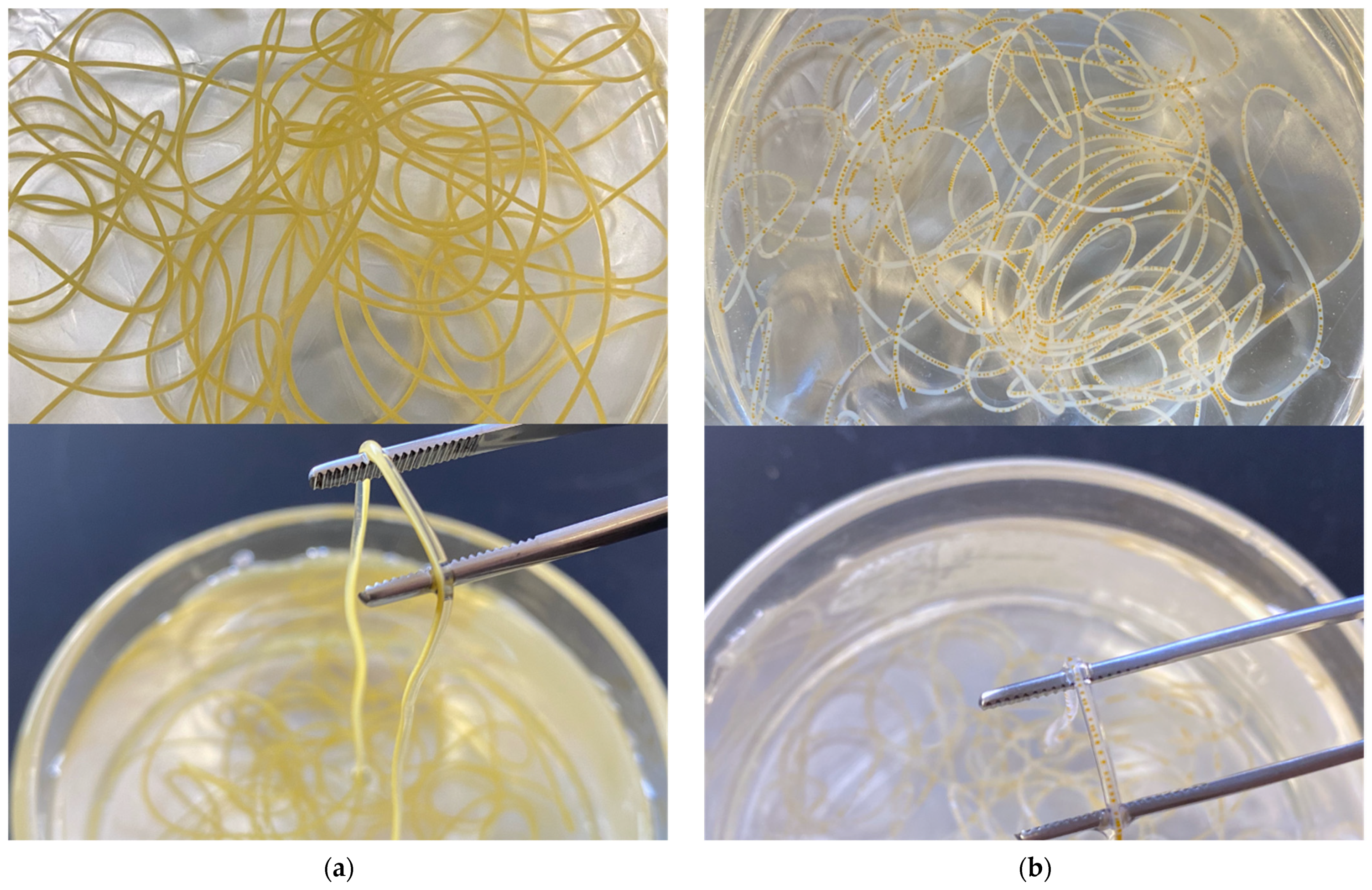 Foods 10 02646 g003 550