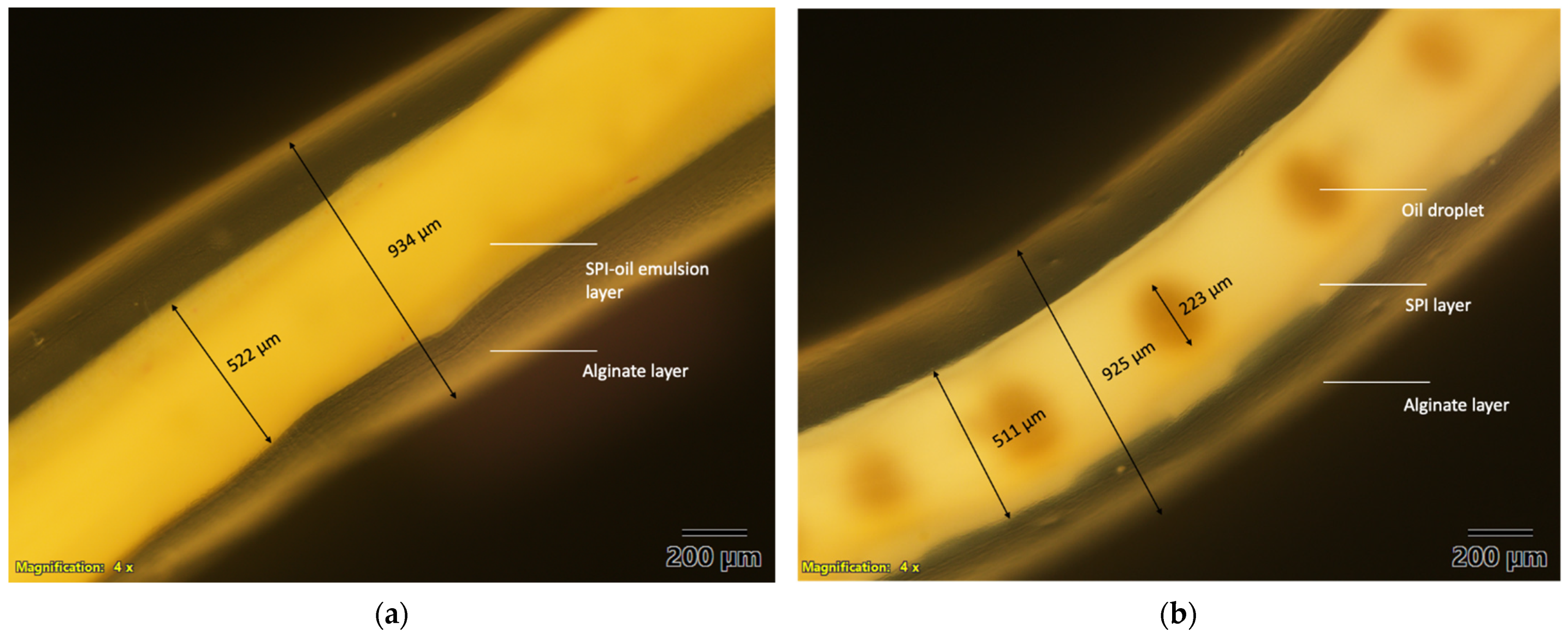 Foods 10 02646 g004 550