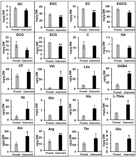 Effects of Long-Term Non-Pruning on Main Quality