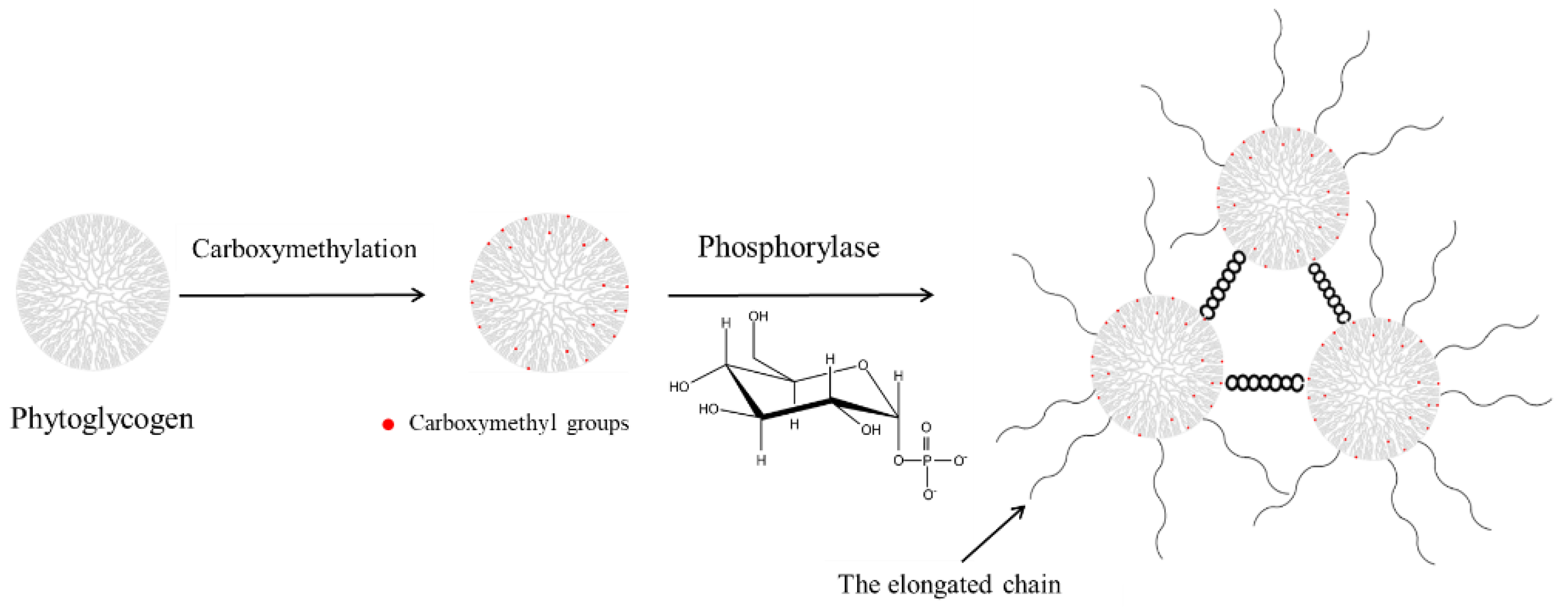 Foods 10 02653 sch001 550
