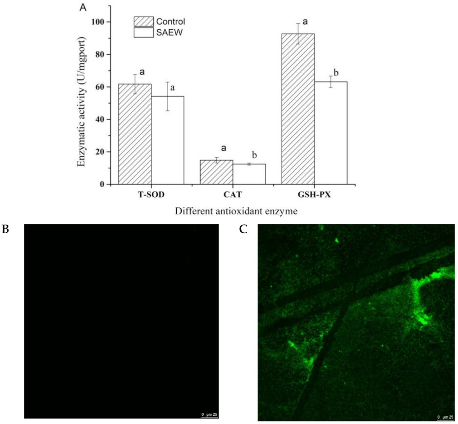 Foods 10 02671 g006 550