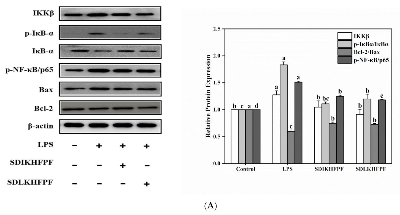 Foods 10 02680 g006a