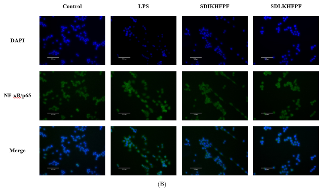 Foods 10 02680 g006b
