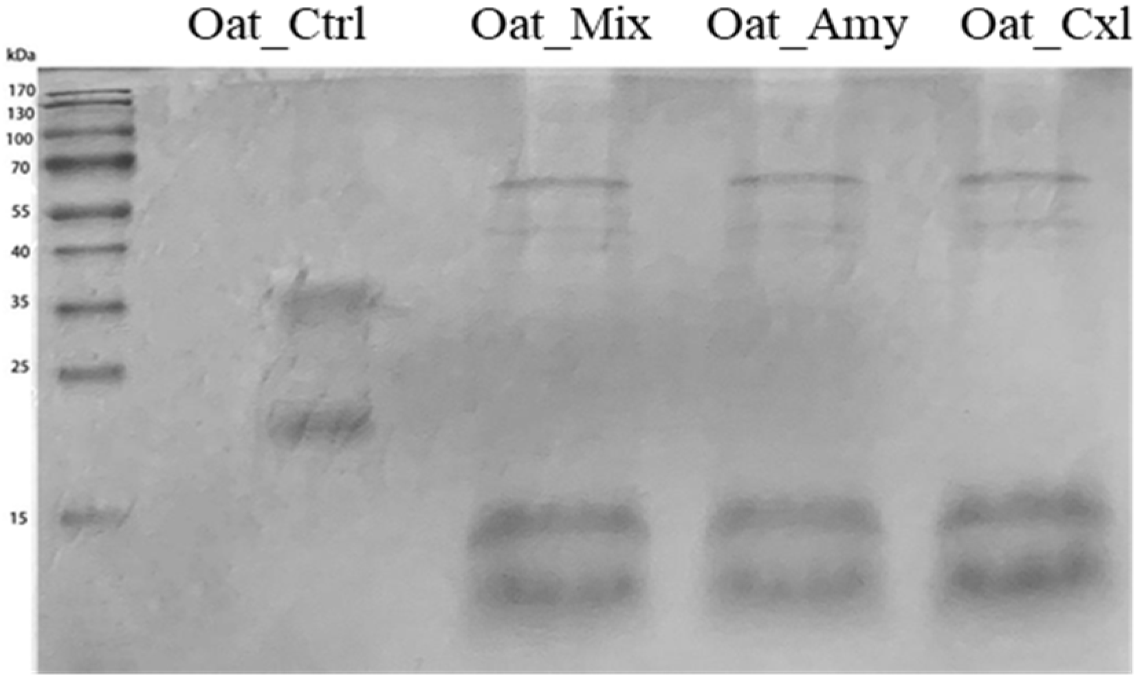 Foods 10 02695 g002 550