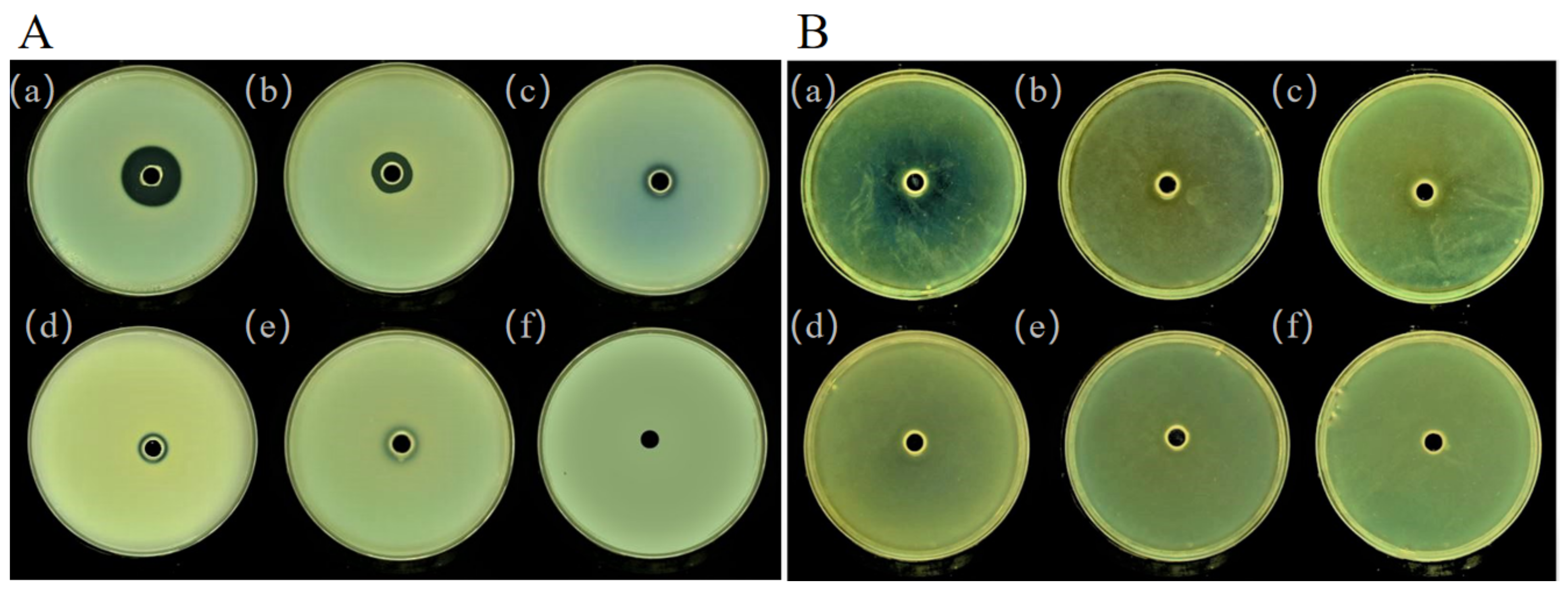 Foods 10 02700 g005 550