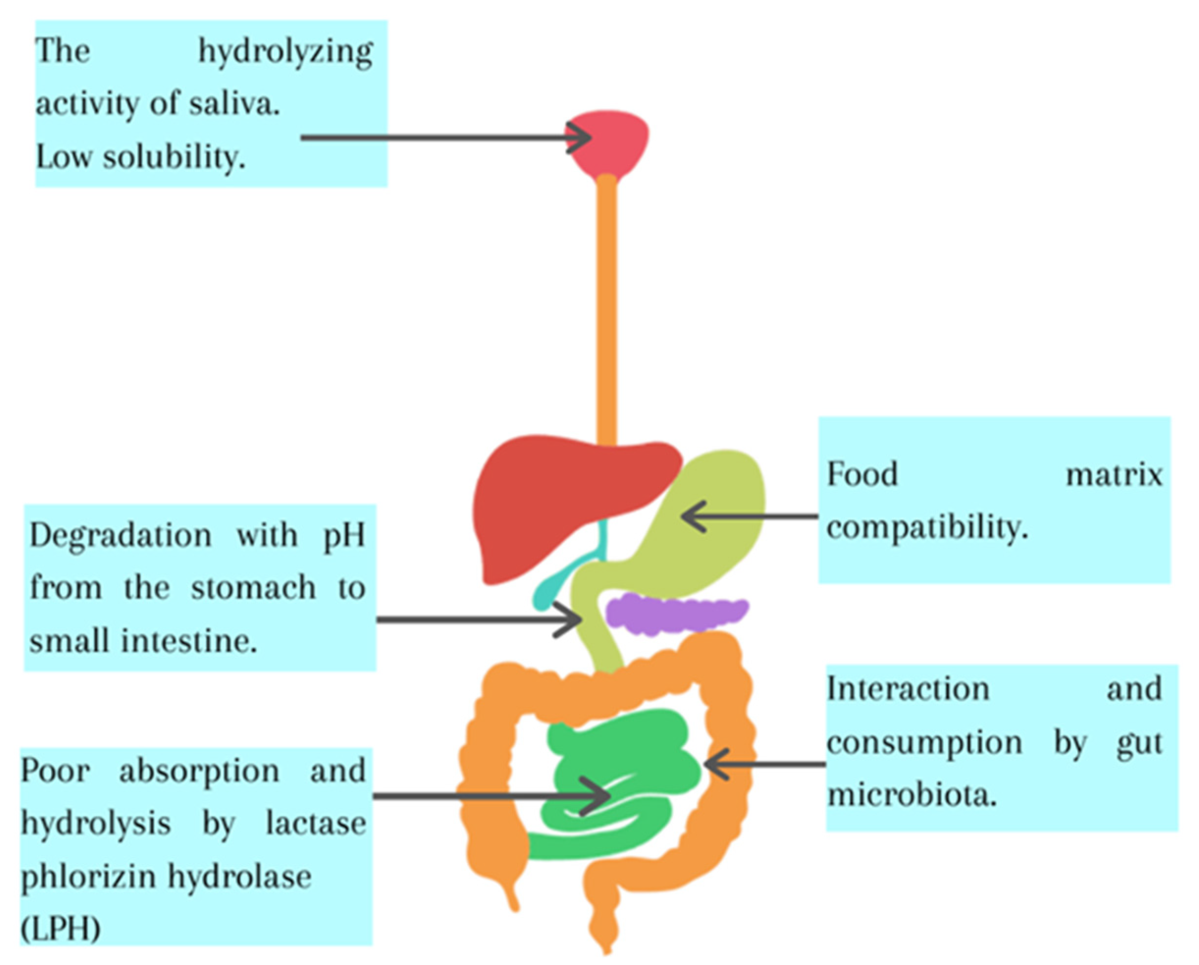 Foods 10 02701 g001 550