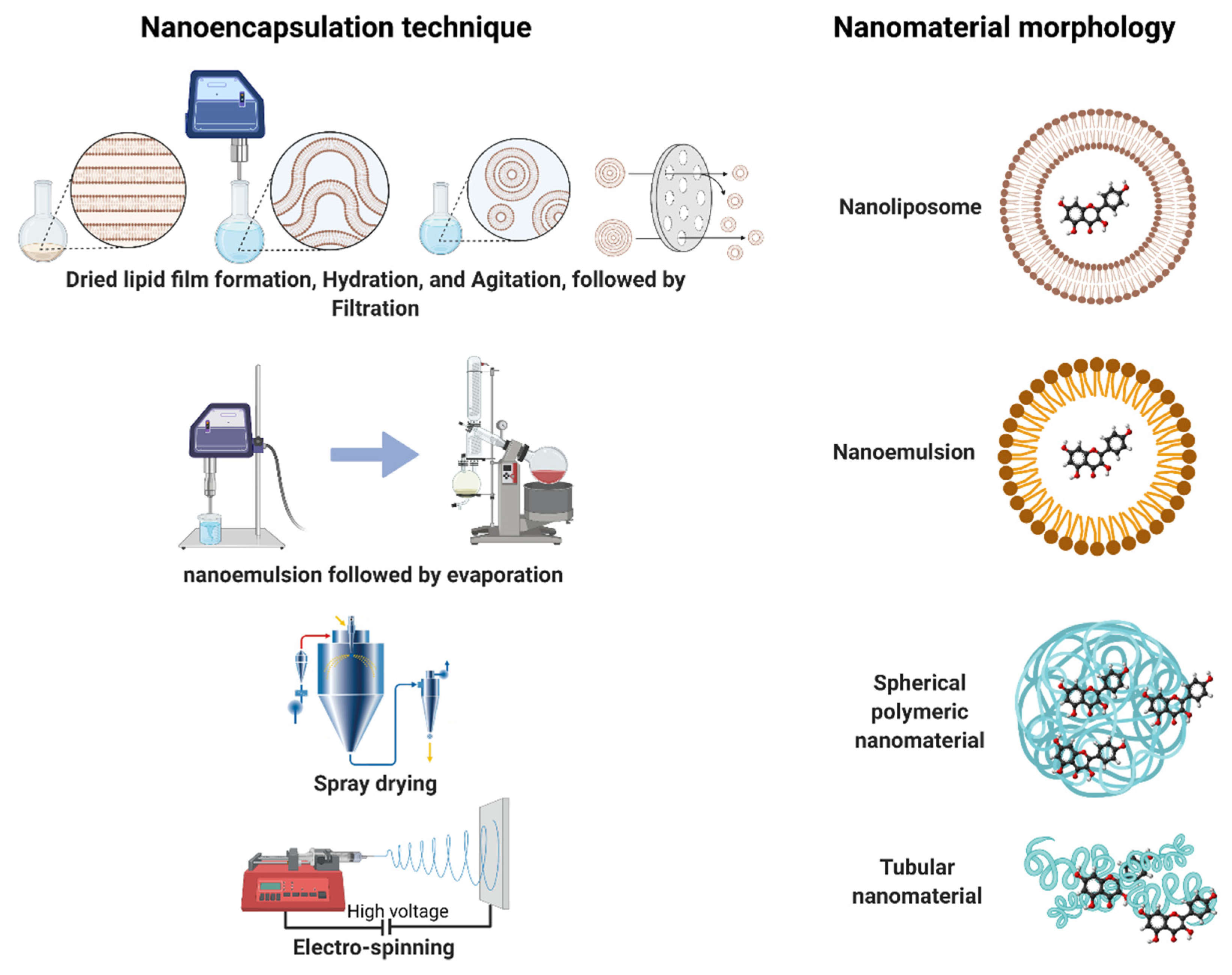 Foods 10 02701 g002 550