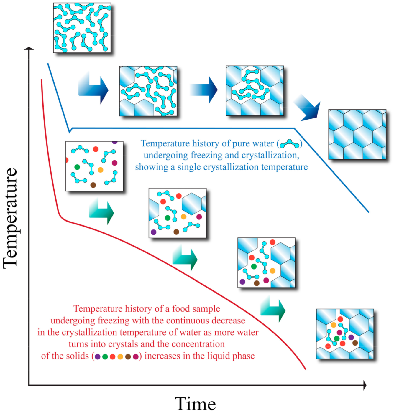 Foods Free FullText Crystallization Behavior and Quality of Frozen Meat