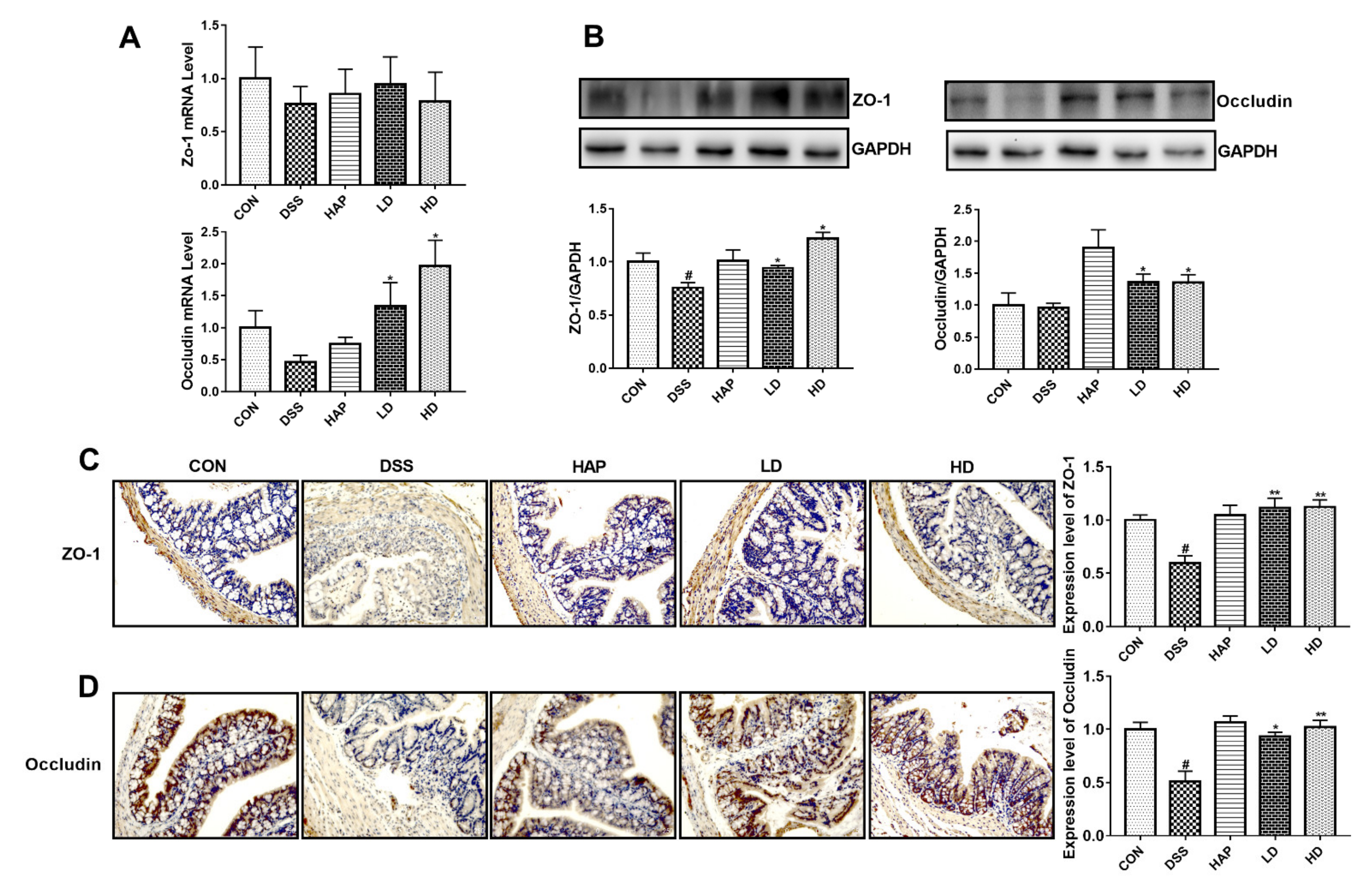 Foods 10 02711 g004 550