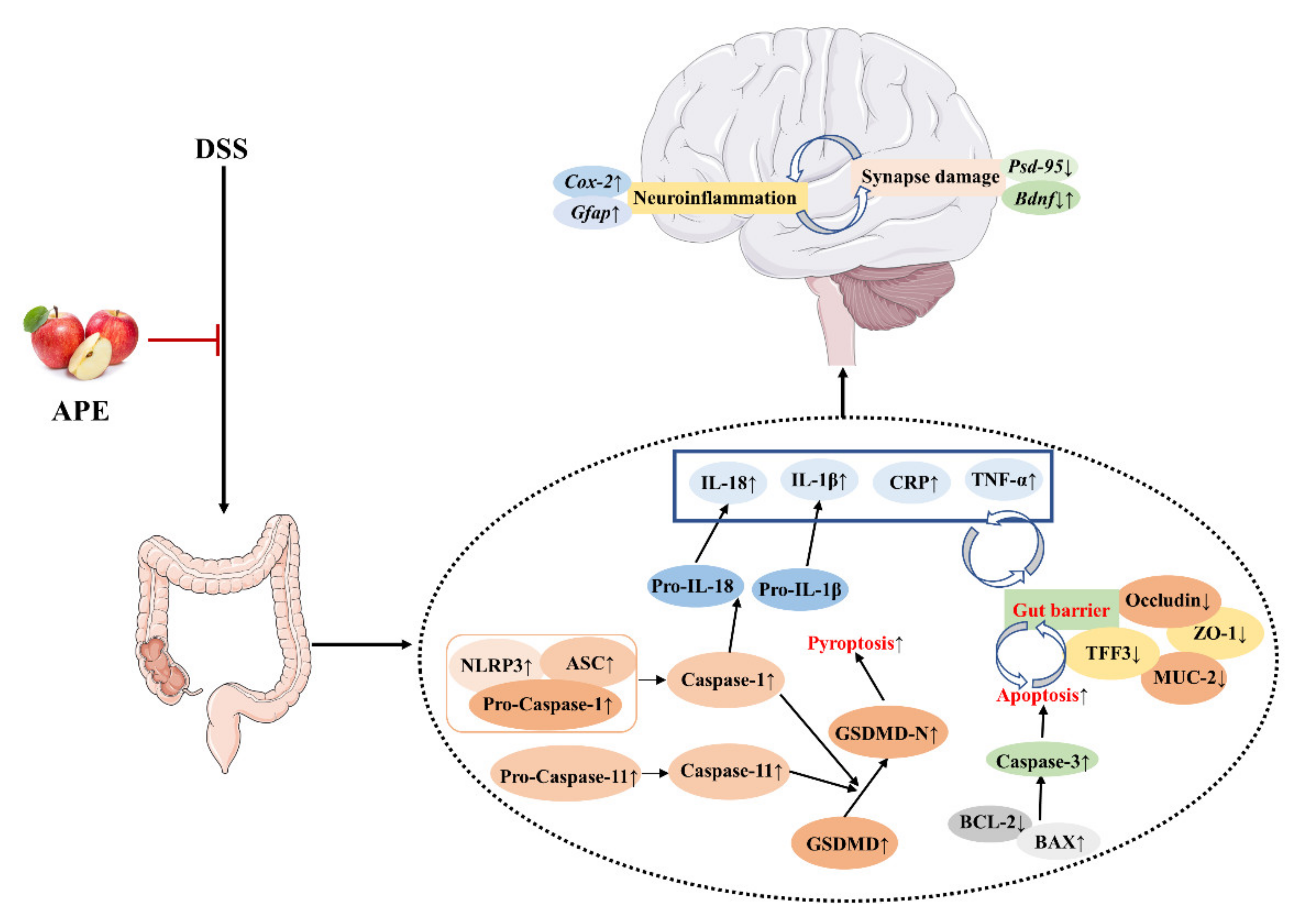 Foods 10 02711 g009 550