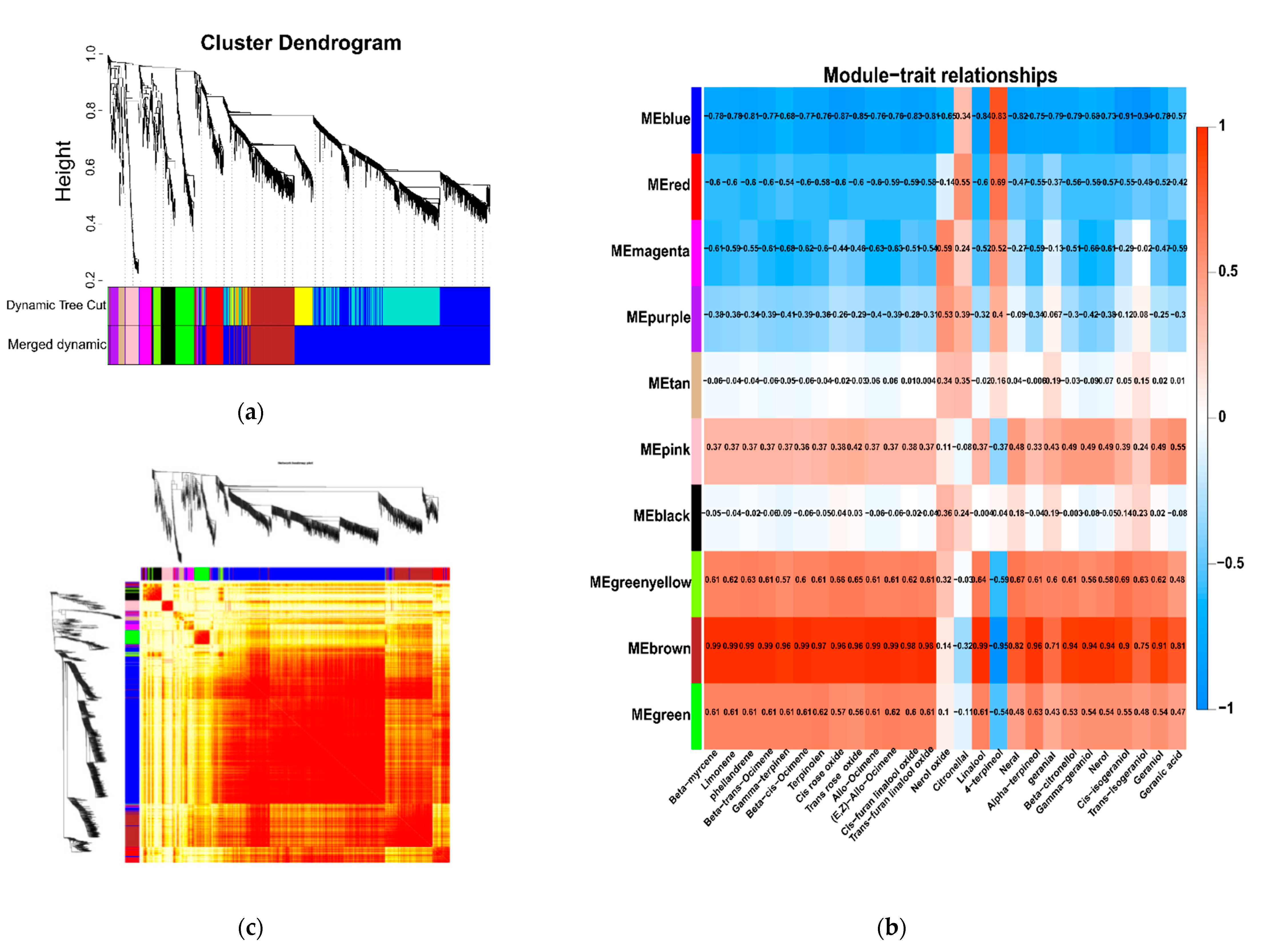 Foods 10 02718 g008 550