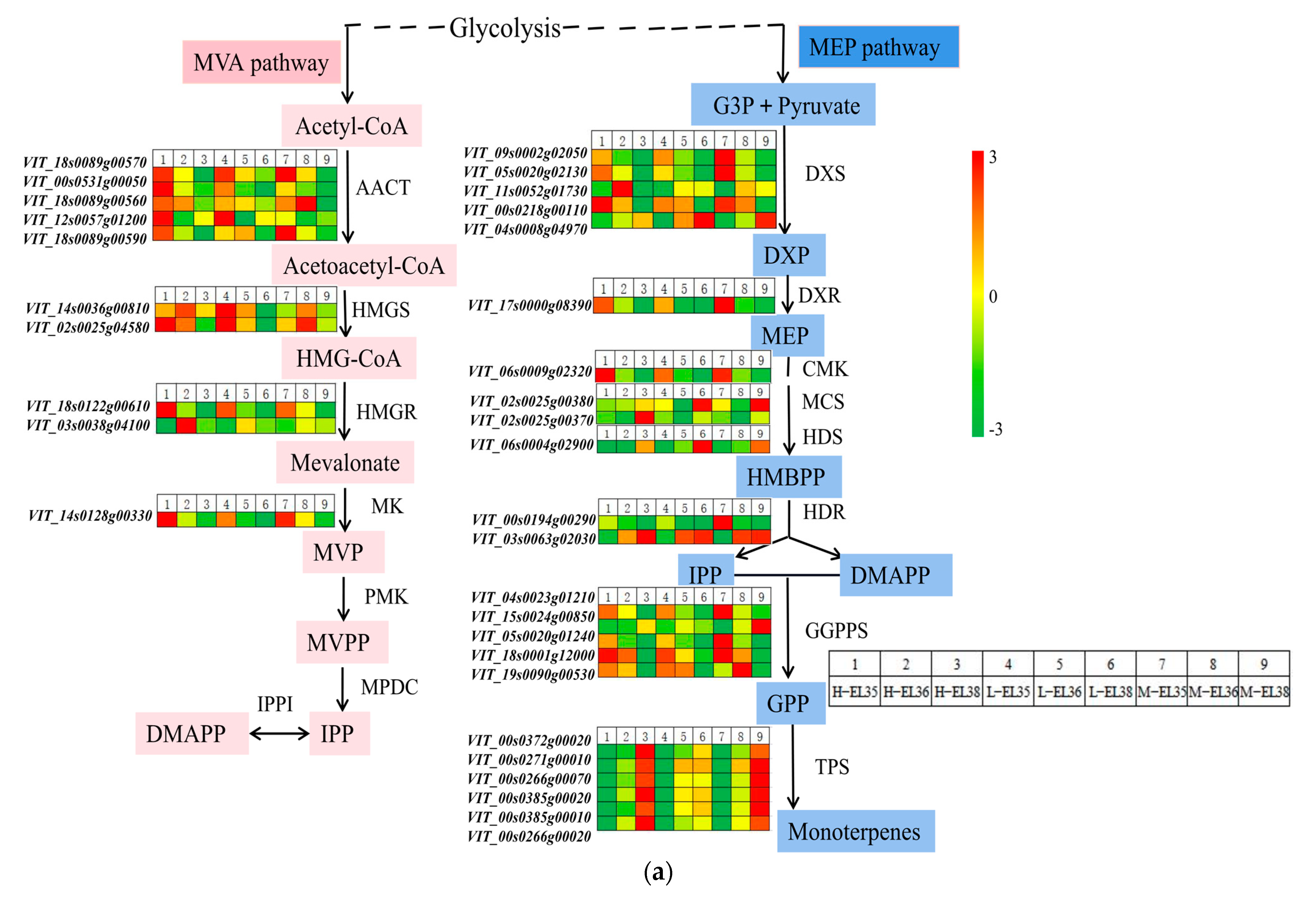 Foods 10 02718 g009a 550