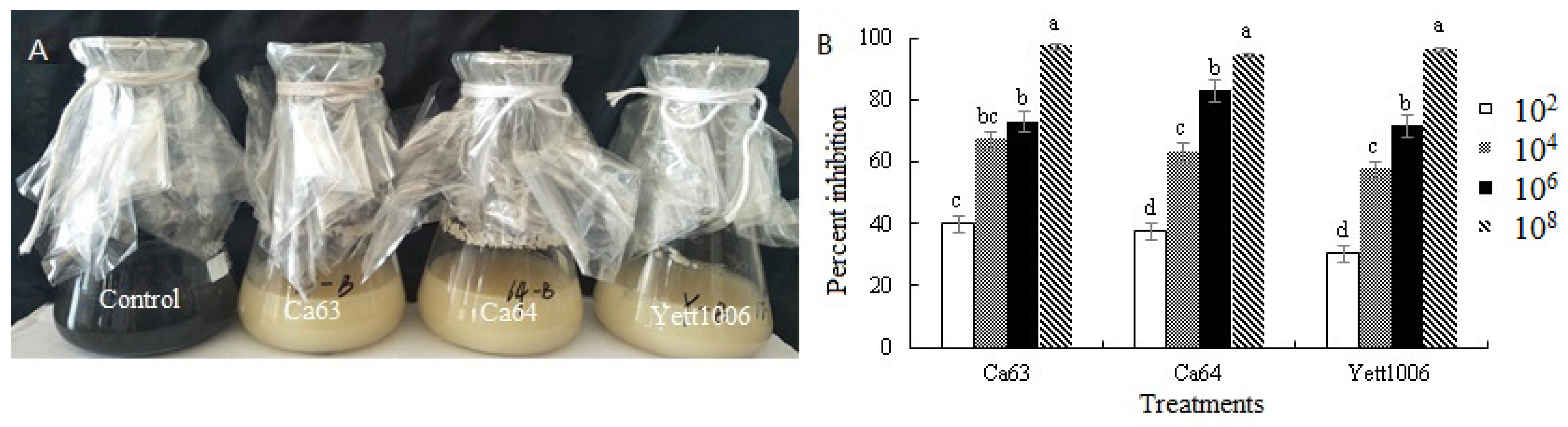 Foods 10 02736 g002 550