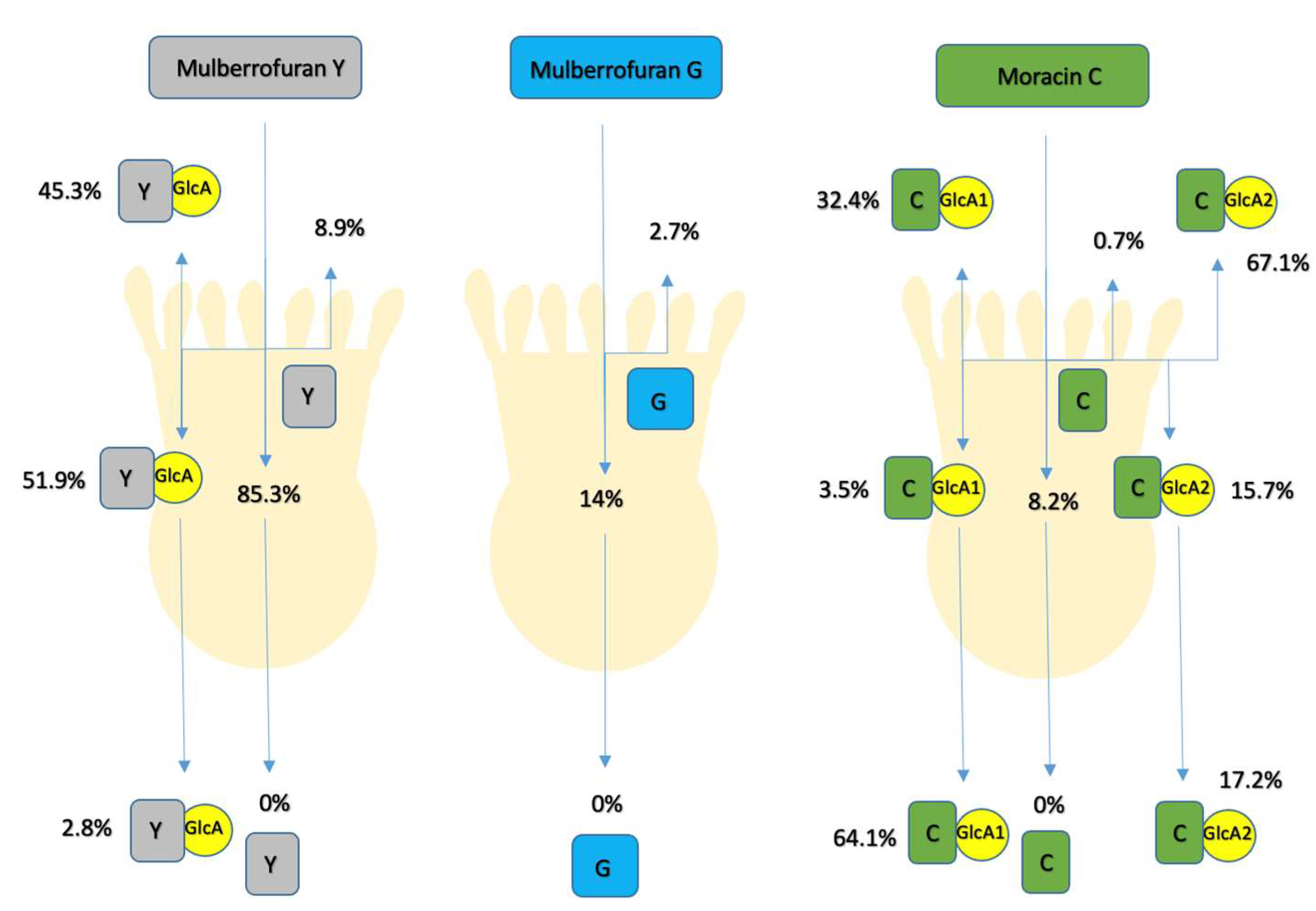 Foods 10 02754 g002 550