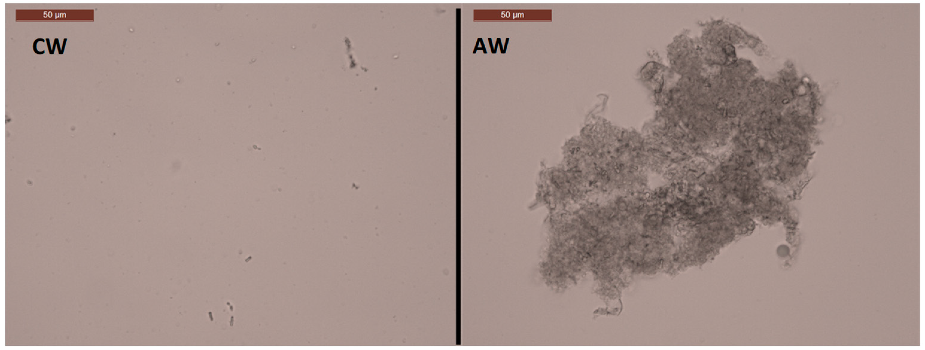 Foods 10 02755 g008 Foods 10 02755 g008