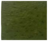 Foods 10 02786 i001 Foods 10 02786 i001