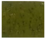 Foods 10 02786 i002 Foods 10 02786 i002