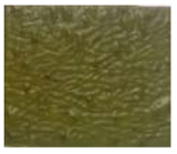 Foods 10 02786 i004 Foods 10 02786 i004