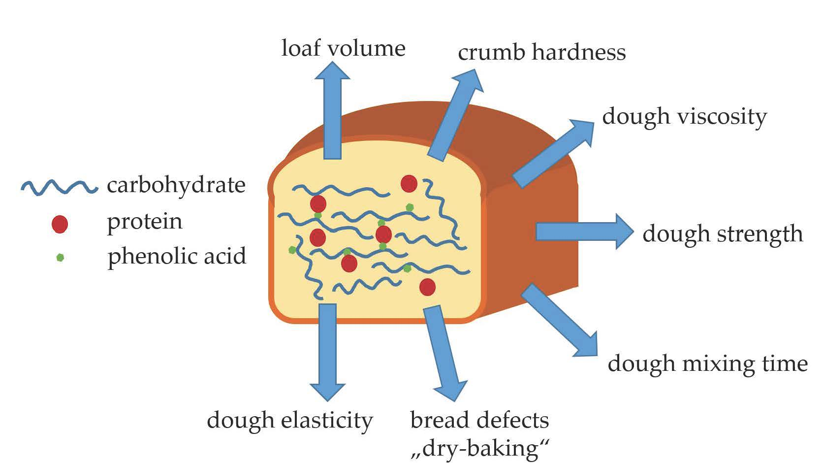 Foods Free FullText Interactions between Phenolic Acids, Proteins