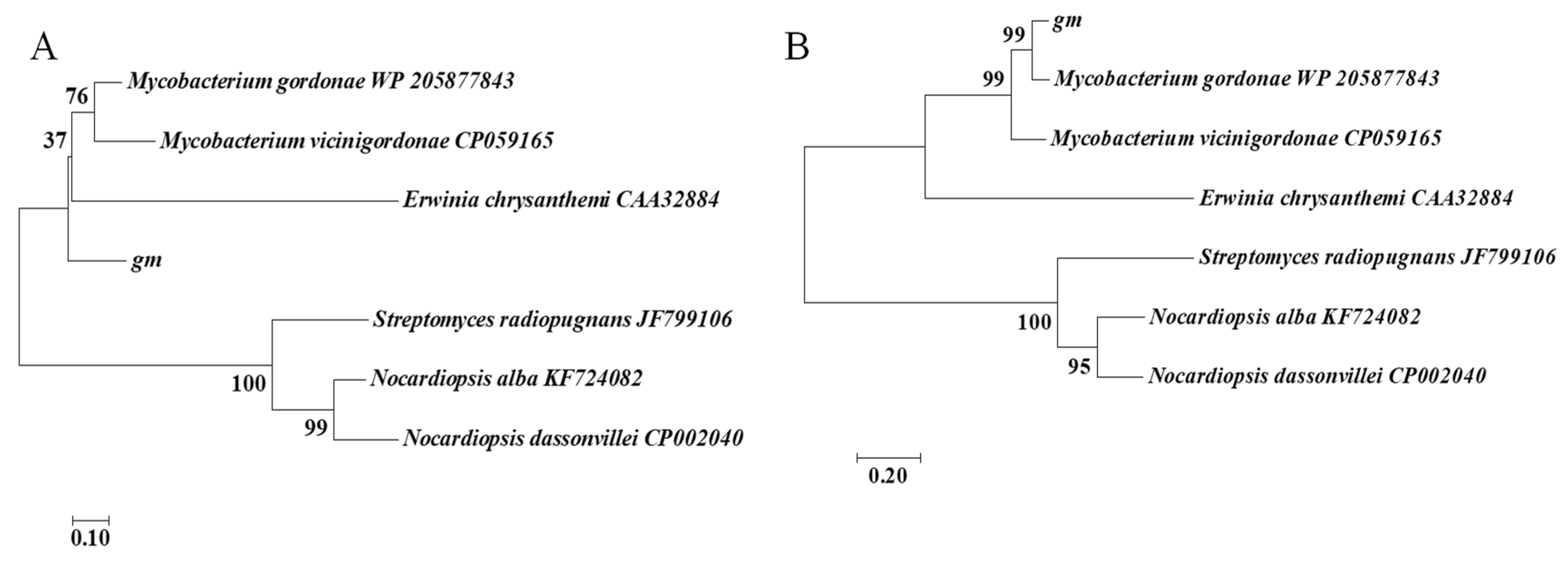 Foods 10 02819 g001 Foods 10 02819 g001