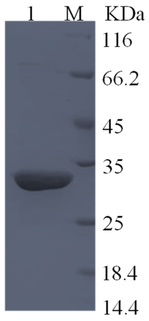 Foods 10 02819 g003 Foods 10 02819 g003