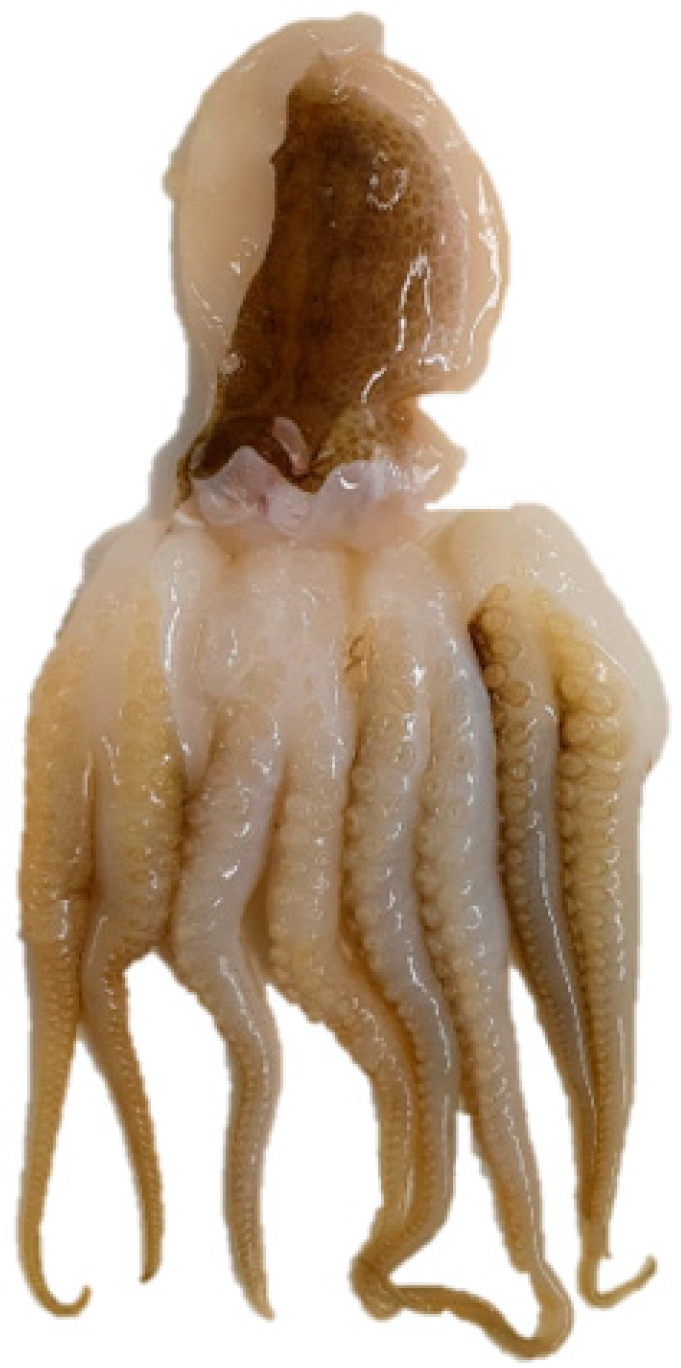 Foods 10 02825 g001 550