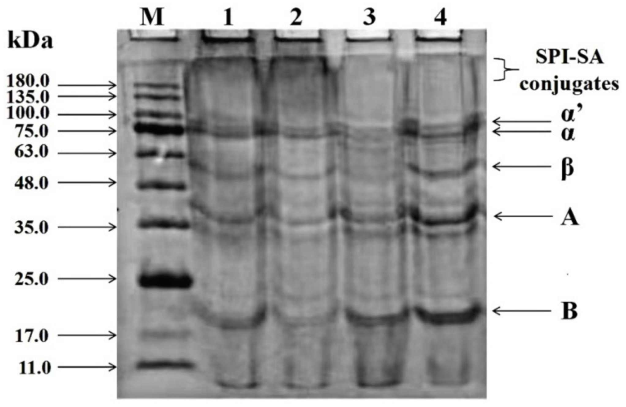 Foods 10 02829 g002 Foods 10 02829 g002