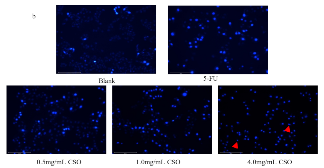 Foods 10 02833 g003b