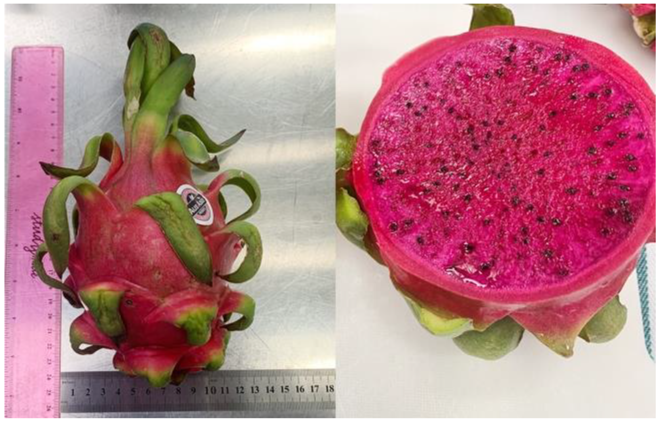 11 of The Best Dragon Fruit (Pitaya) Cultivars