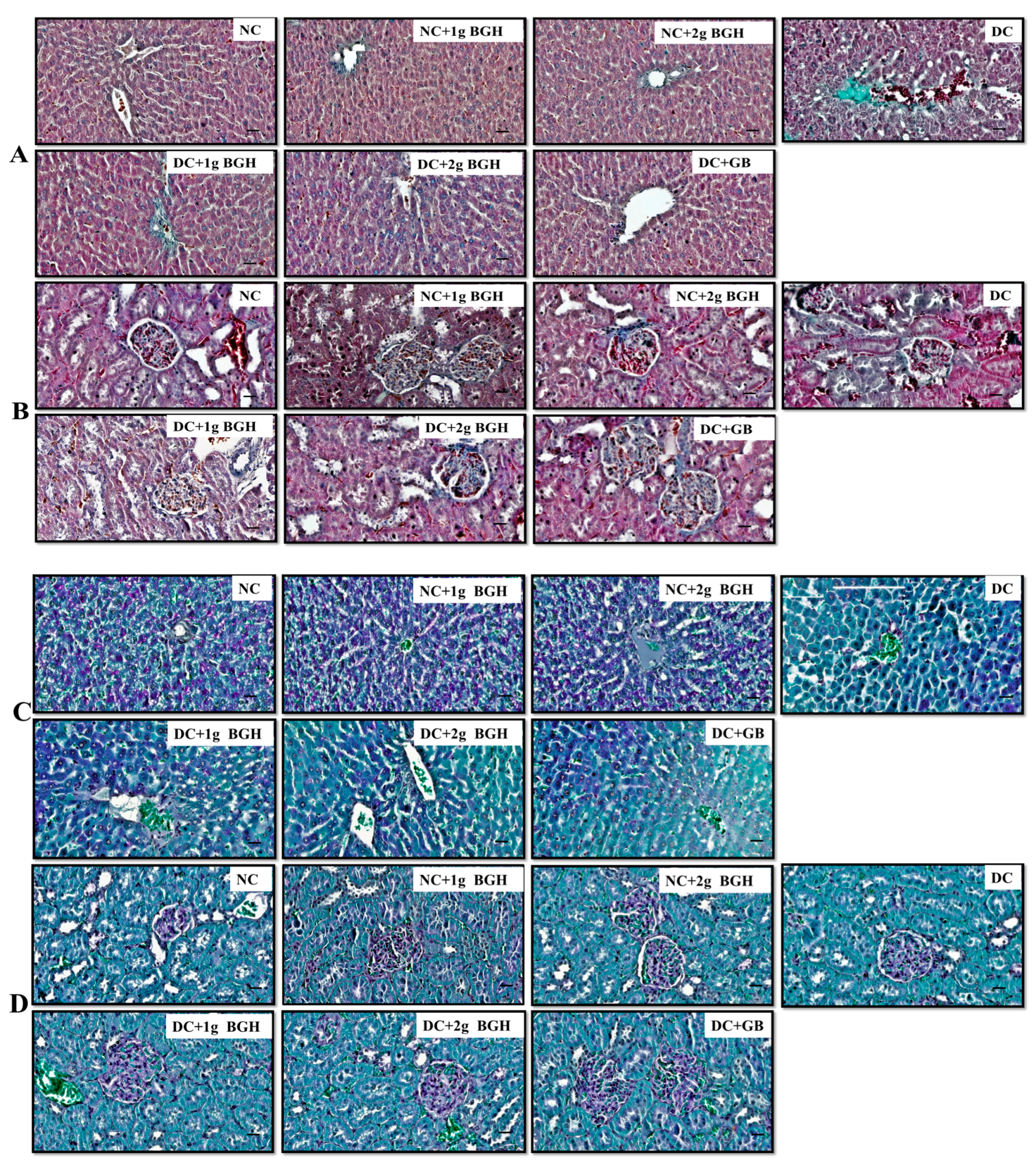 Foods 10 02872 g004 Foods 10 02872 g004