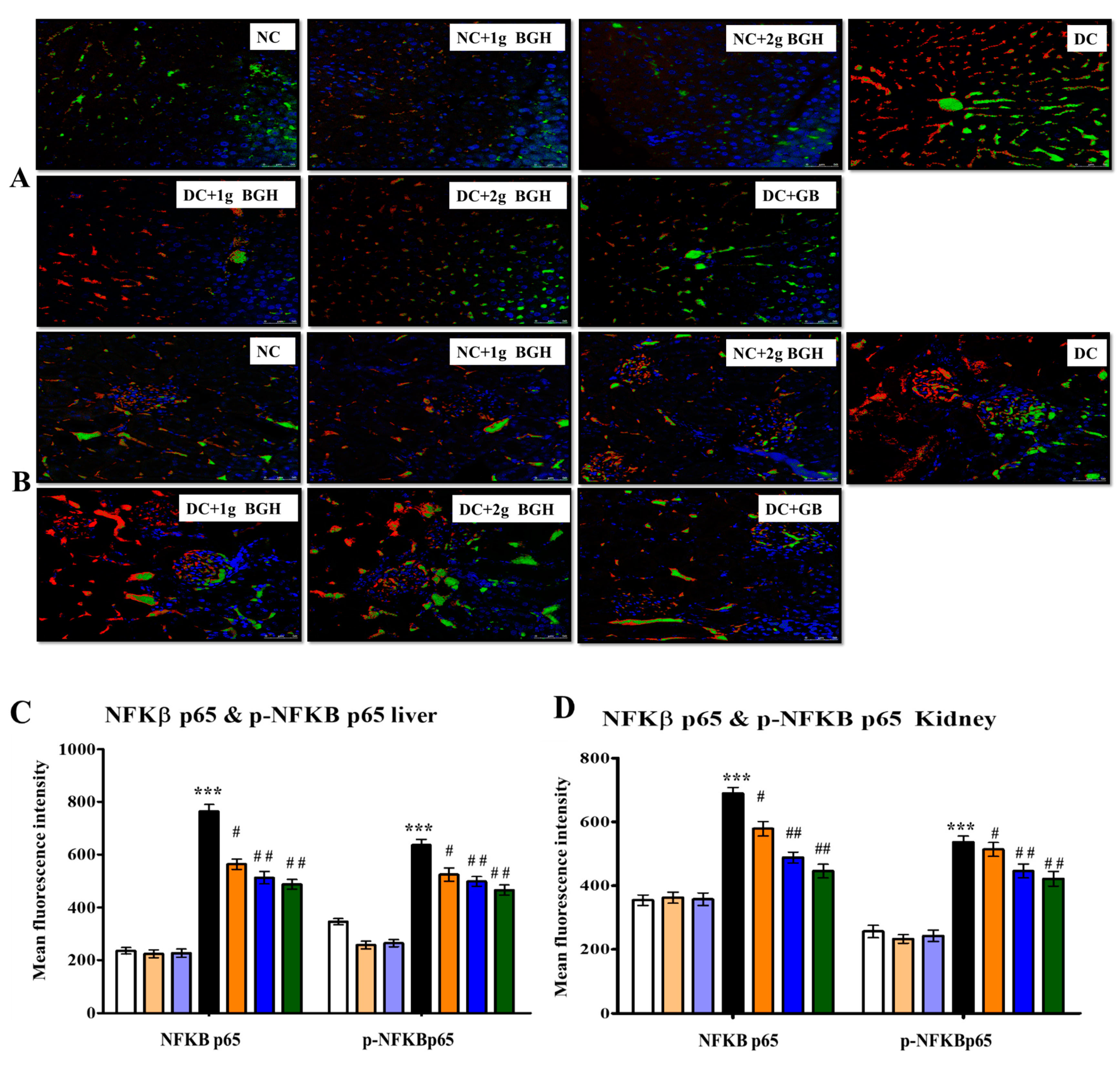 Foods 10 02872 g007 Foods 10 02872 g007