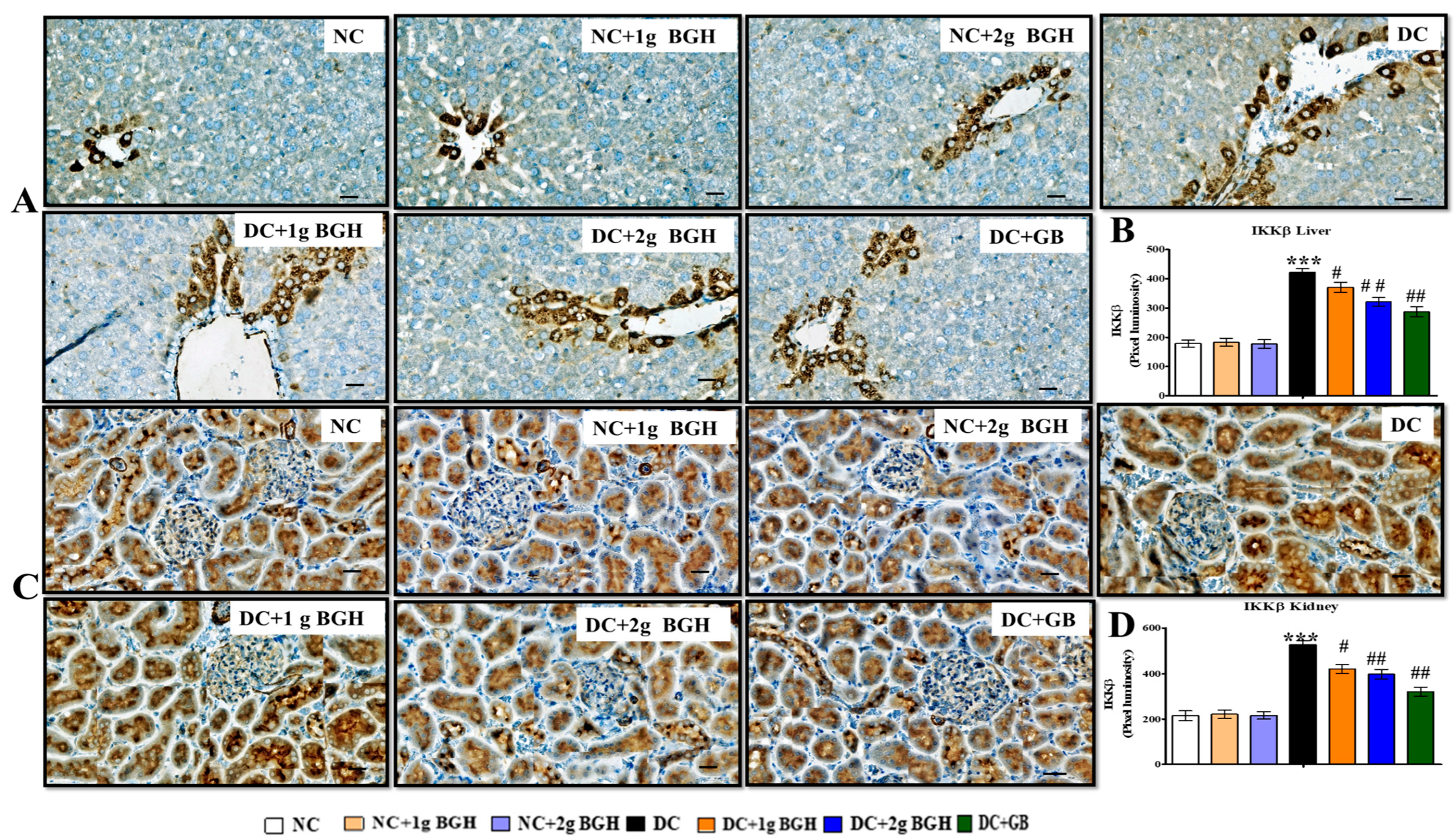 Foods 10 02872 g008 Foods 10 02872 g008