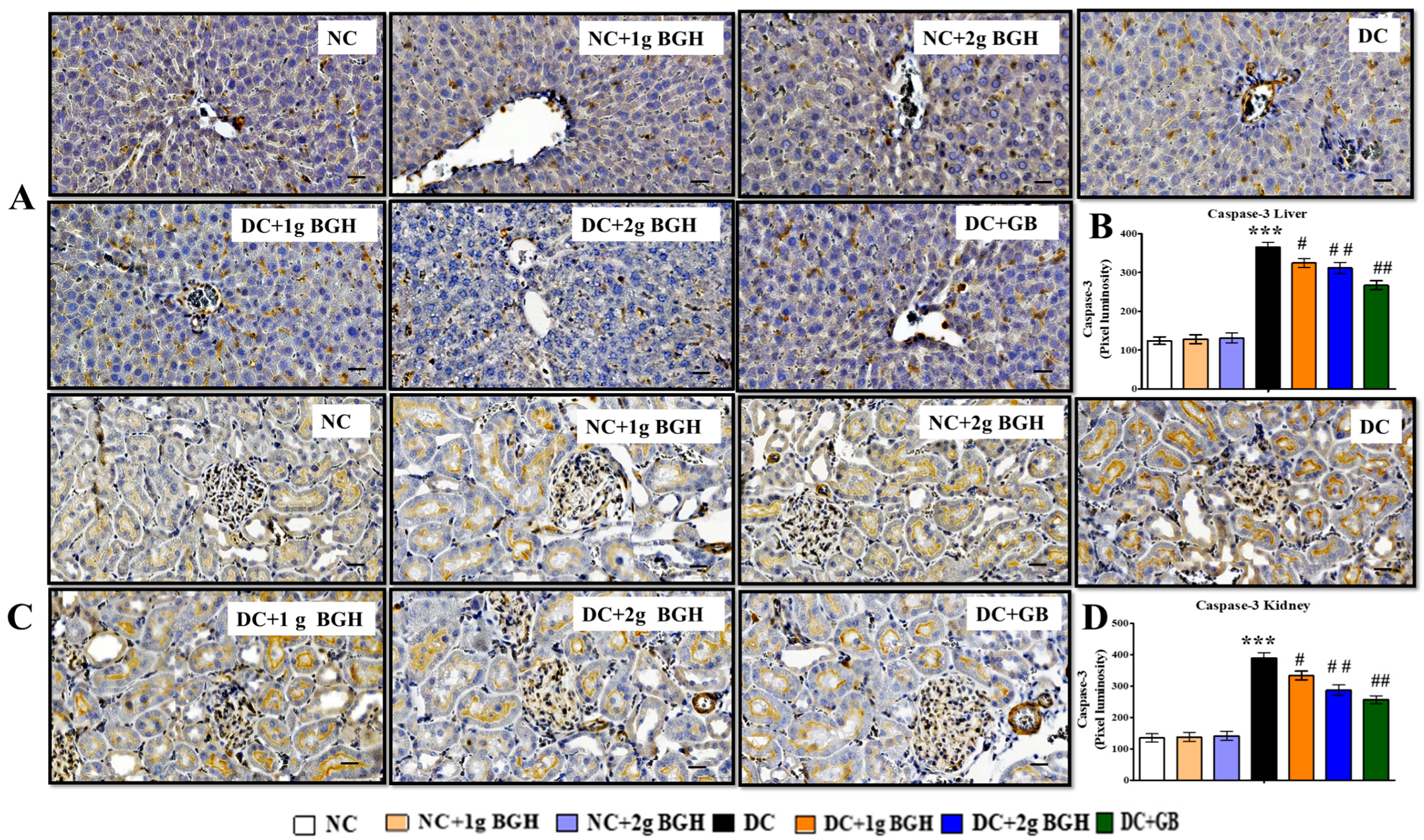 Foods 10 02872 g009 Foods 10 02872 g009