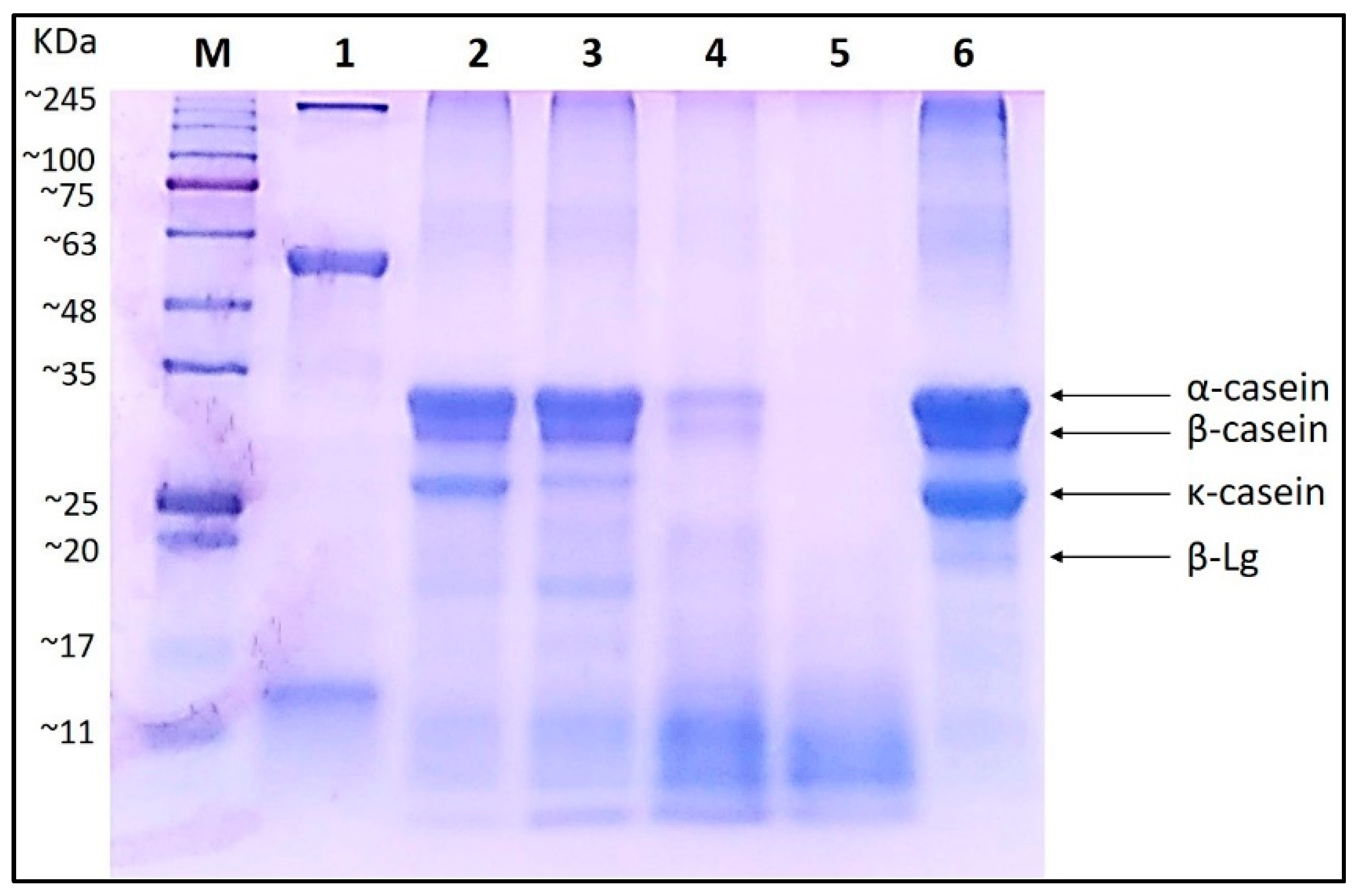 Foods 10 02877 g001 550