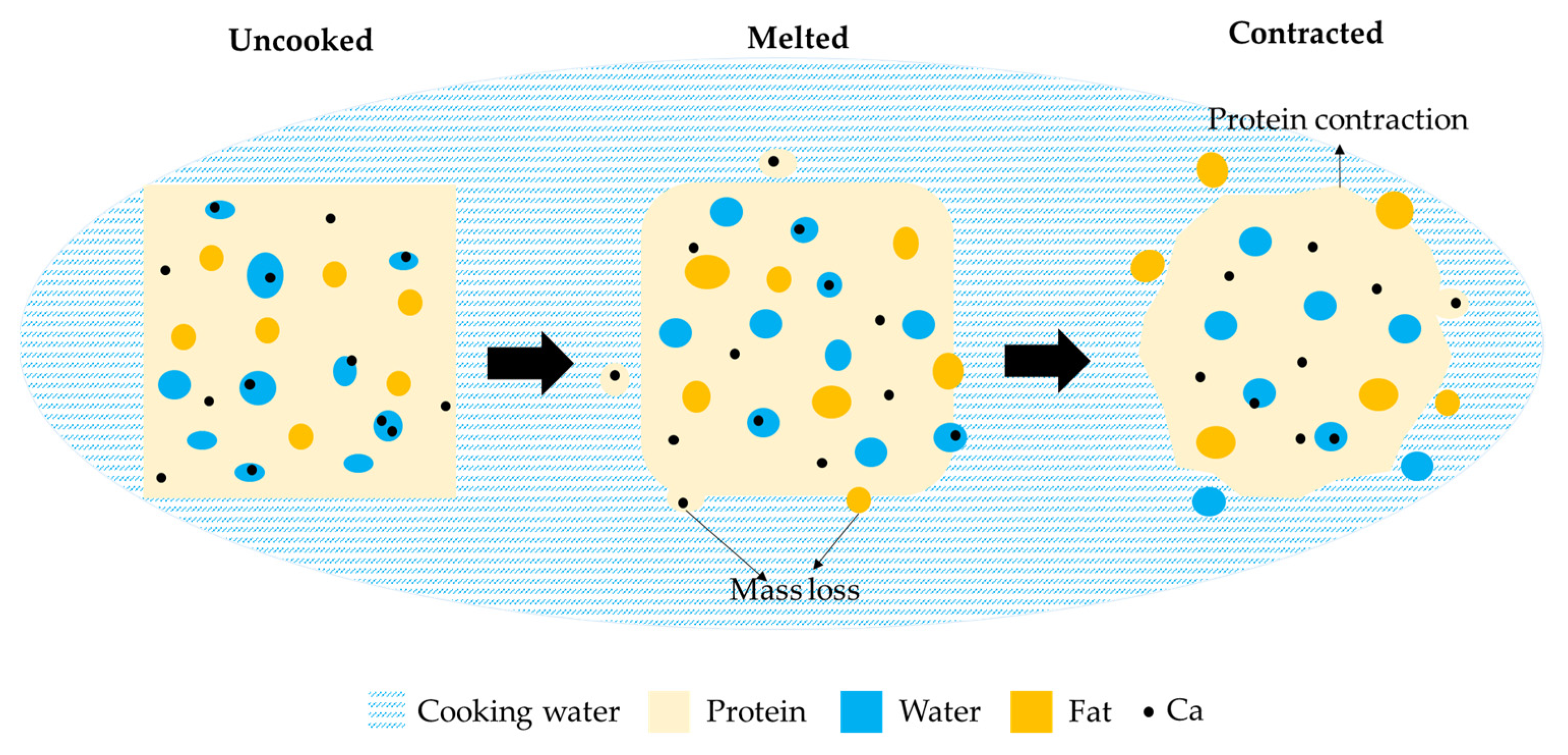 Foods 10 02881 g010 550