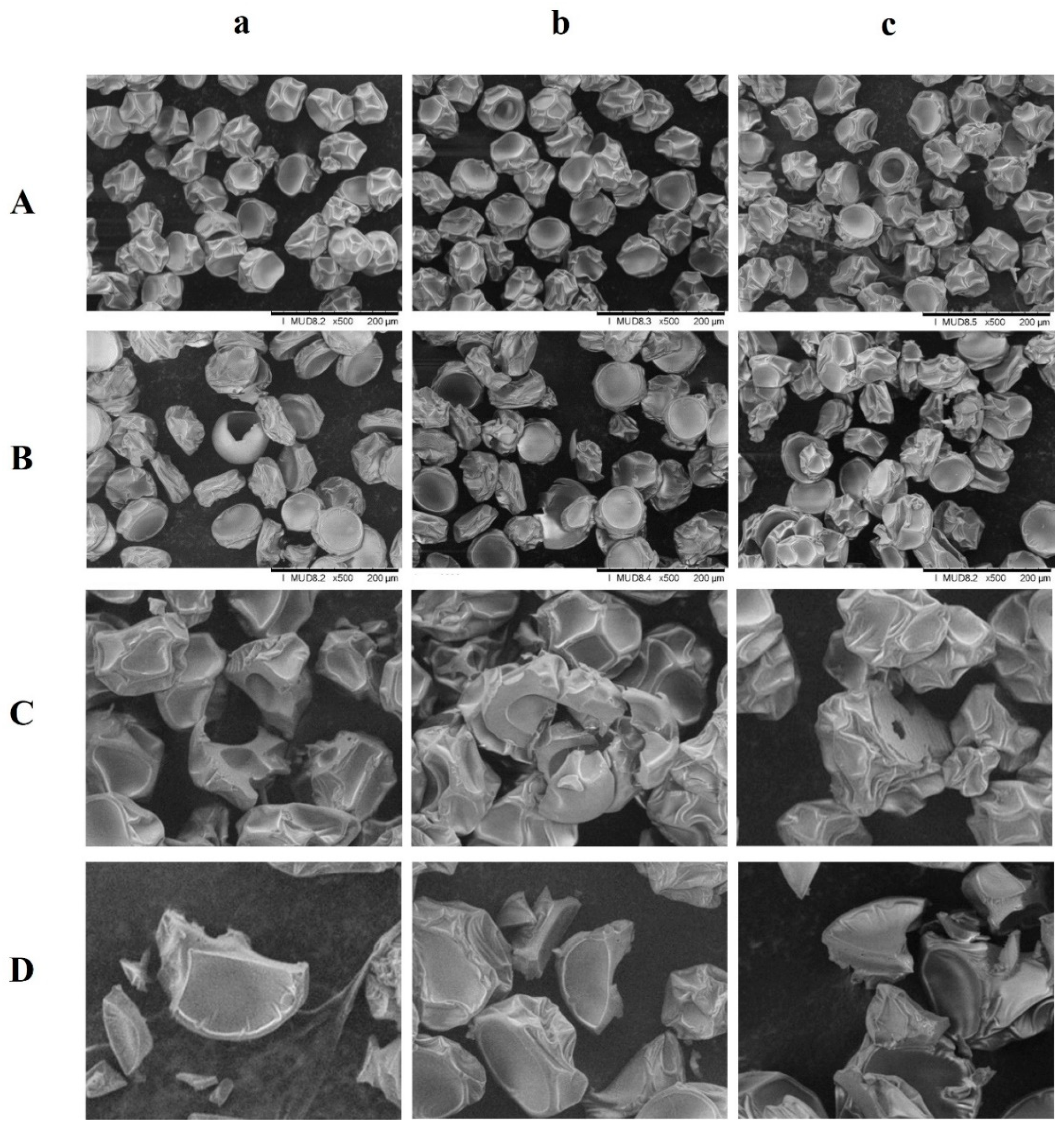 Foods 10 02910 g001 550