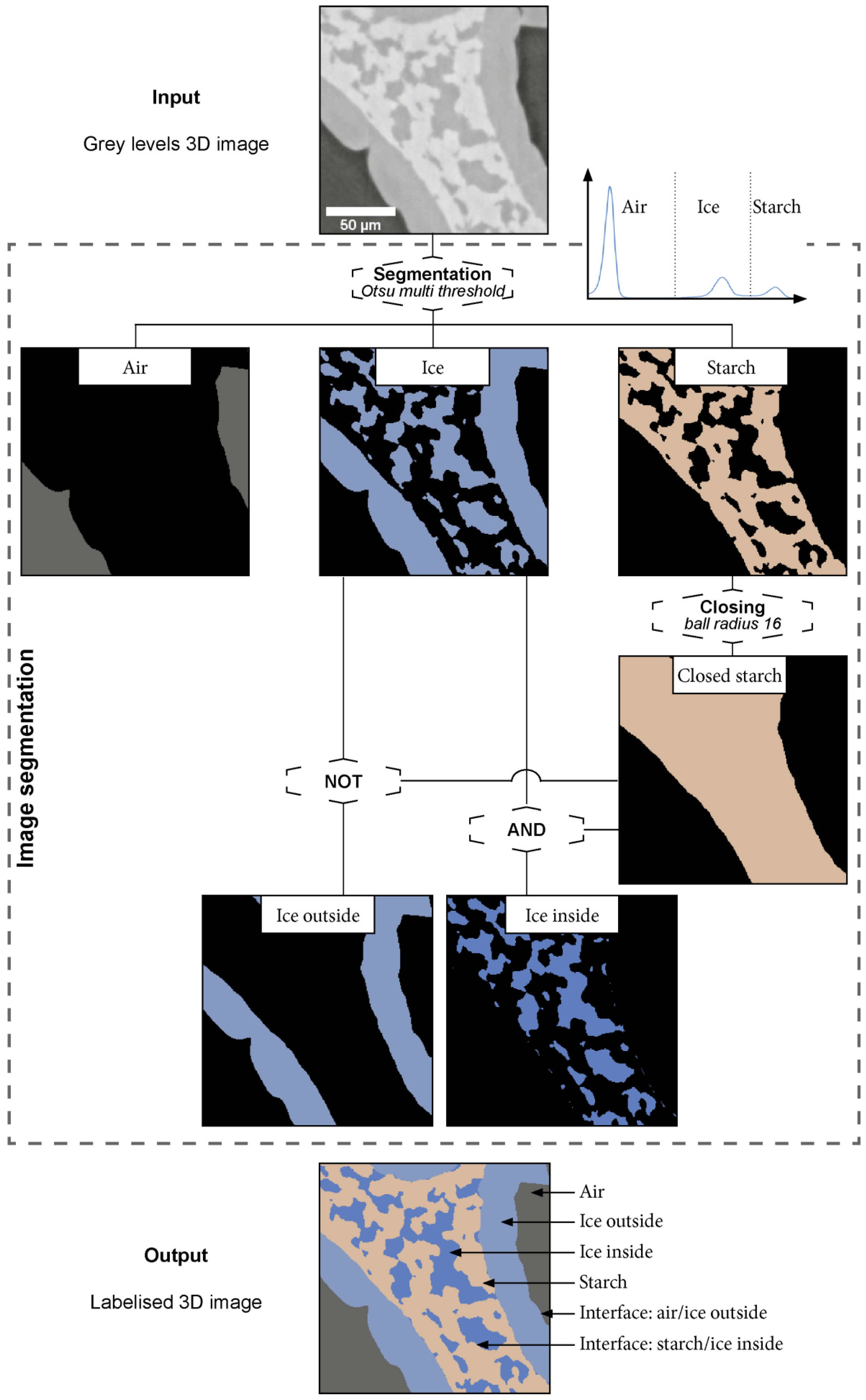 Foods 10 02915 g004 550