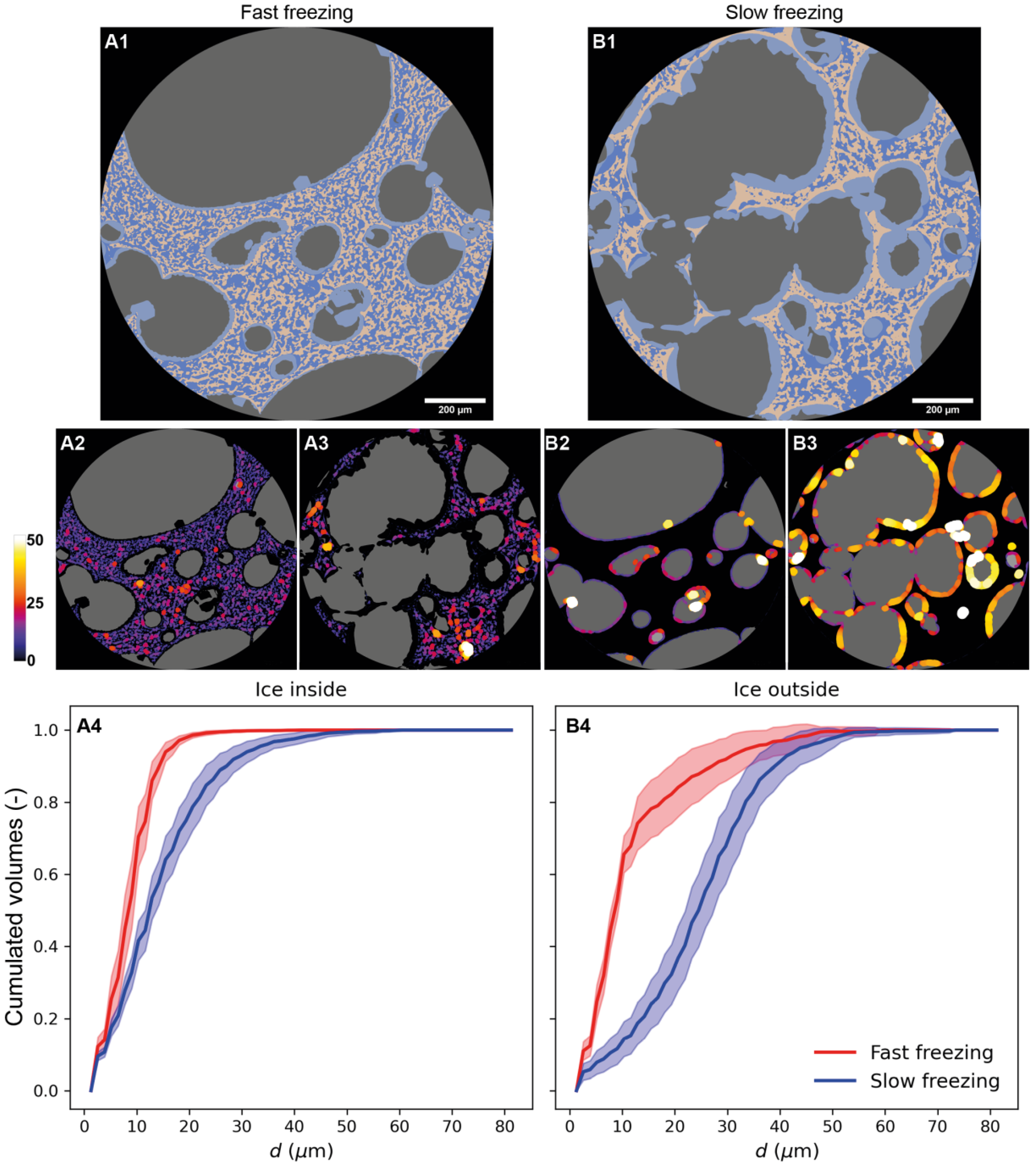 Foods 10 02915 g010 550