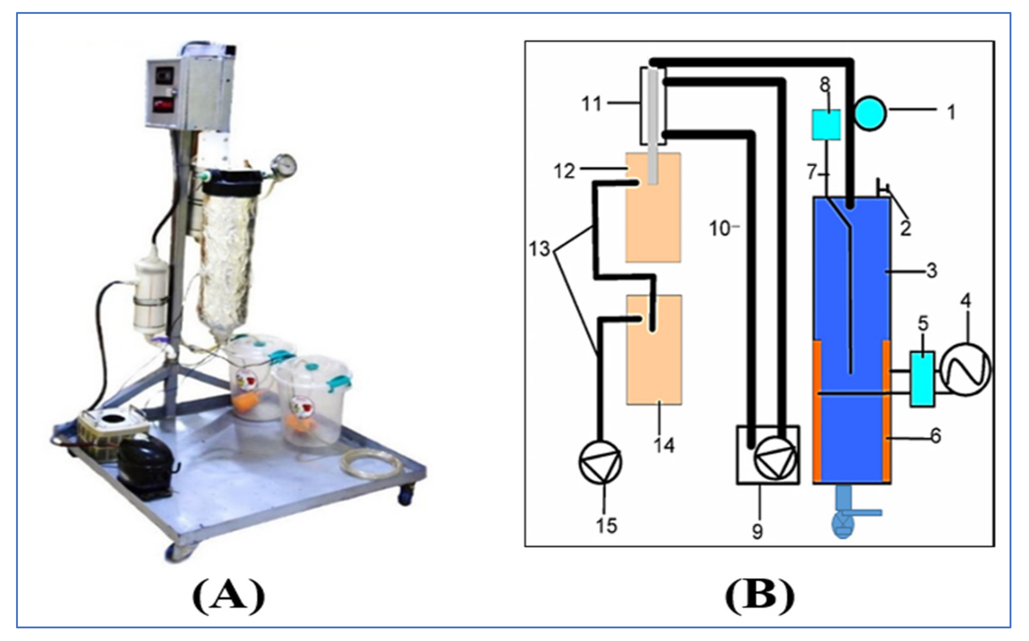 Foods 10 02920 g002 550