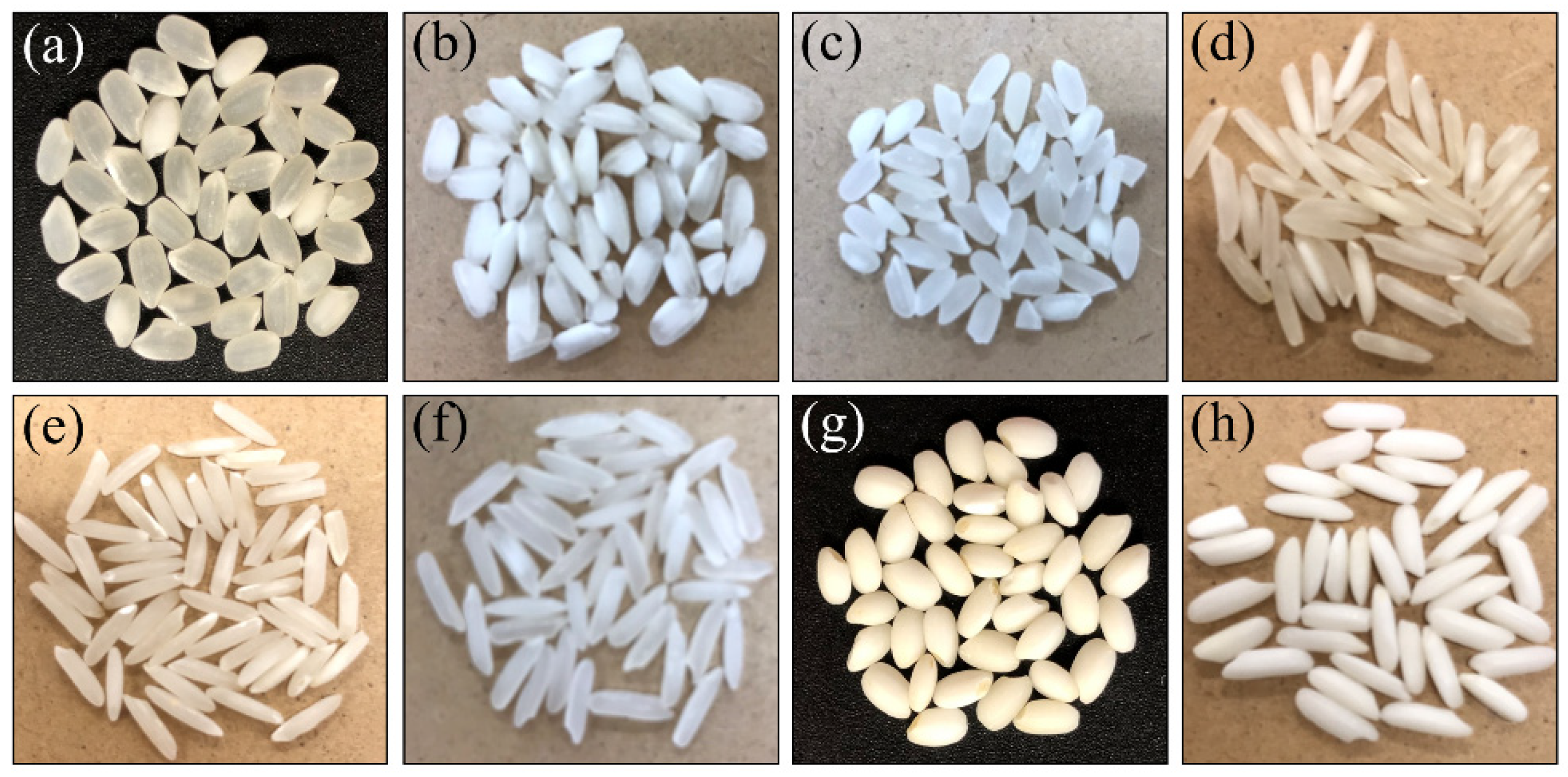 Foods 10 02936 g001 Foods 10 02936 g001