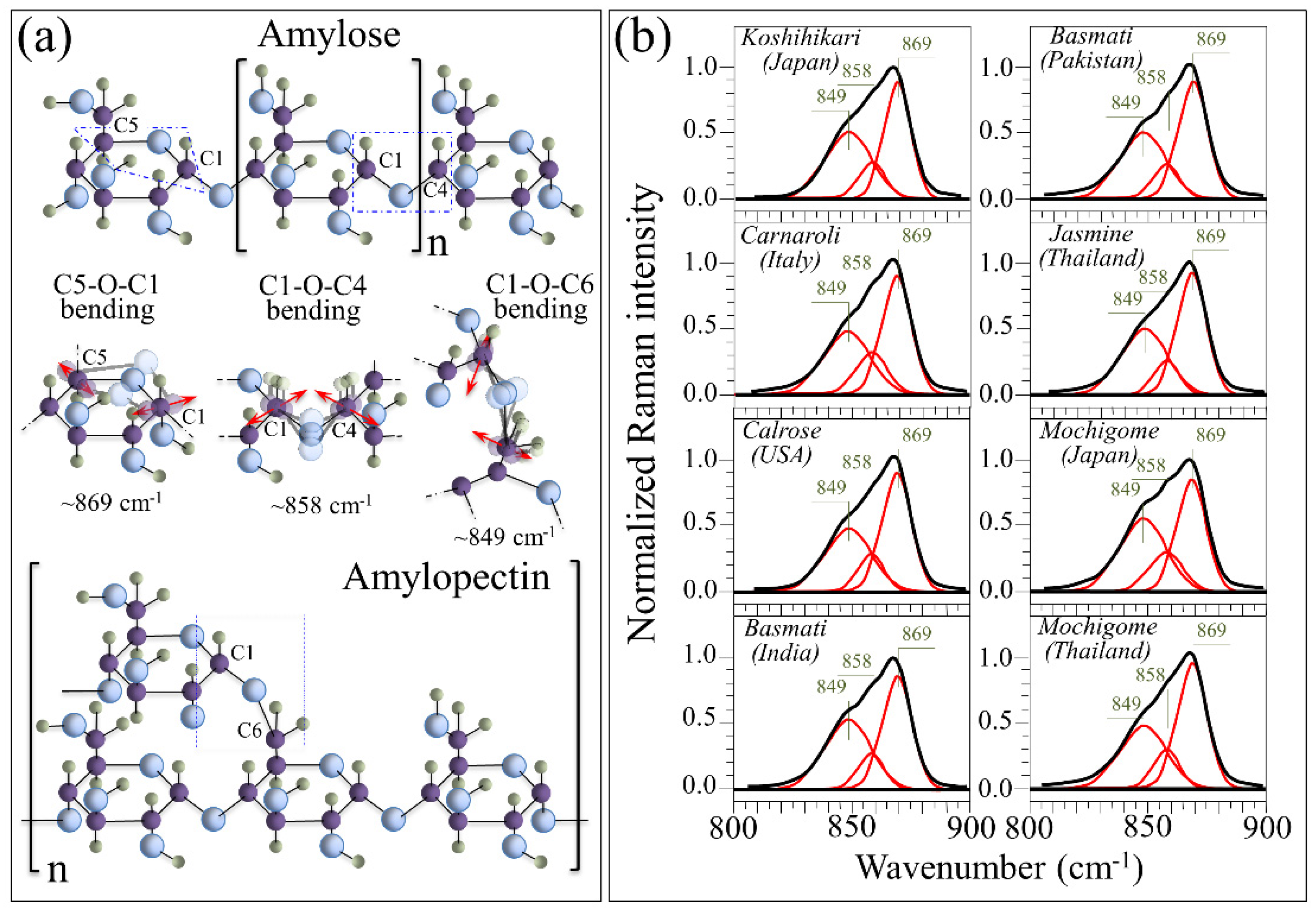 Foods 10 02936 g003 Foods 10 02936 g003