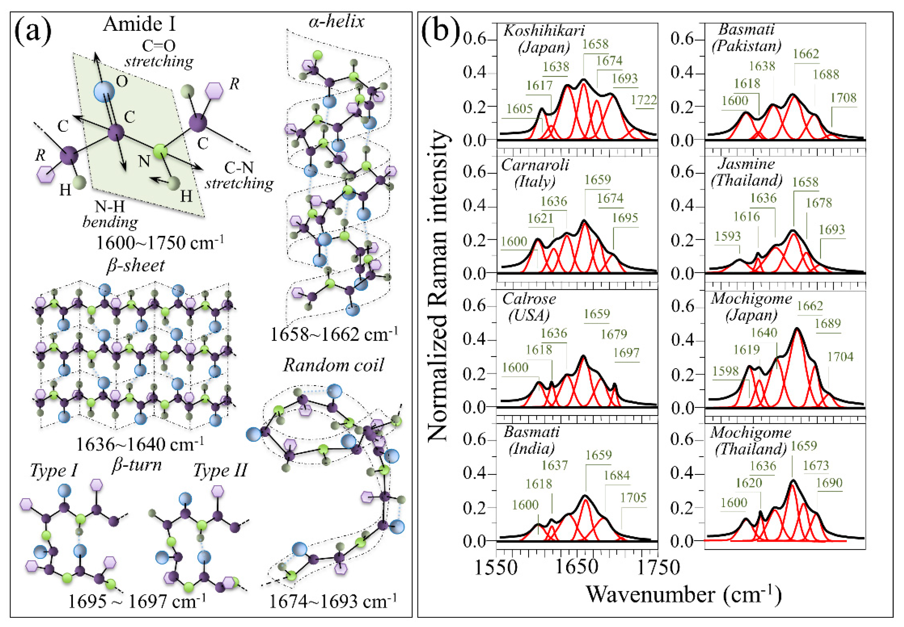 Foods 10 02936 g007 Foods 10 02936 g007