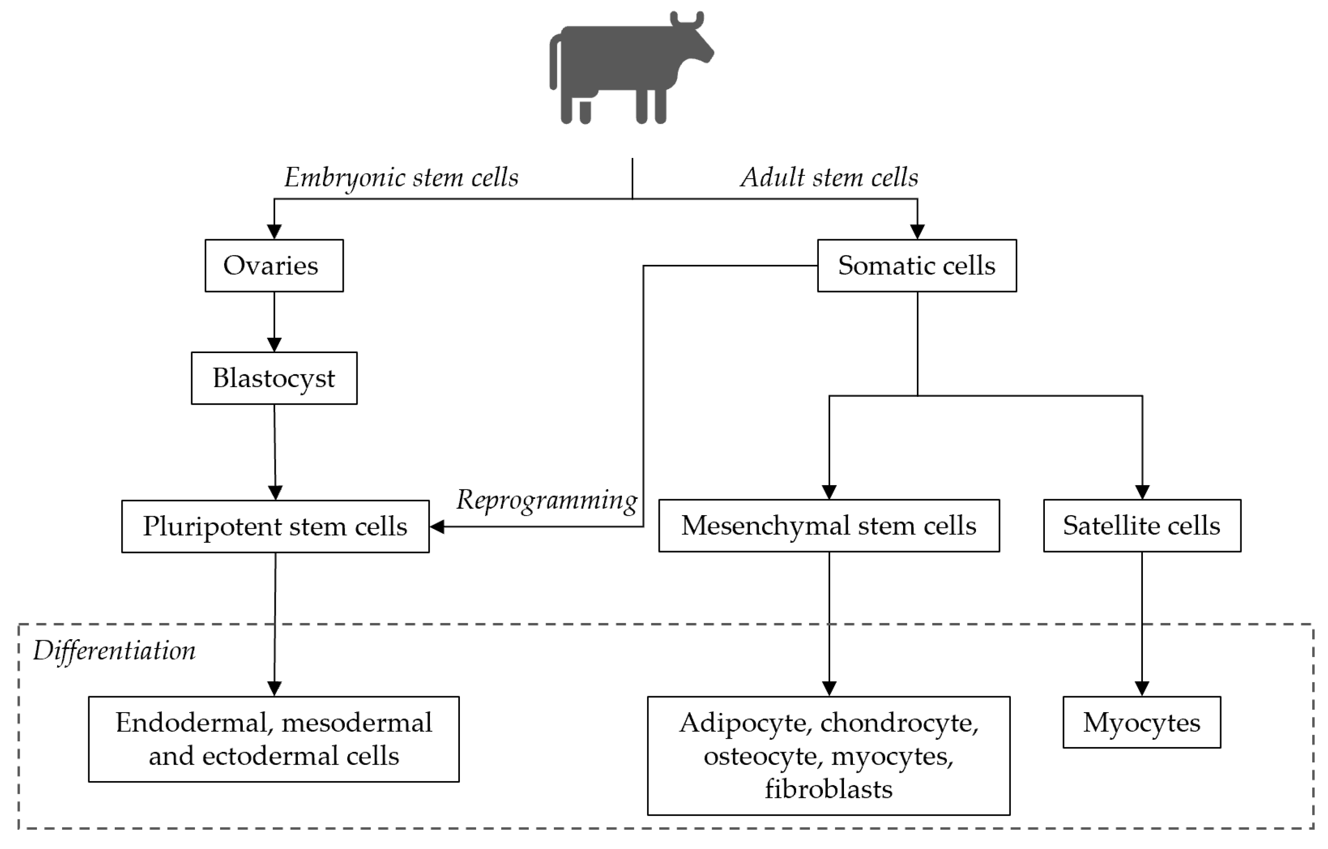 Foods 10 02941 g003 550