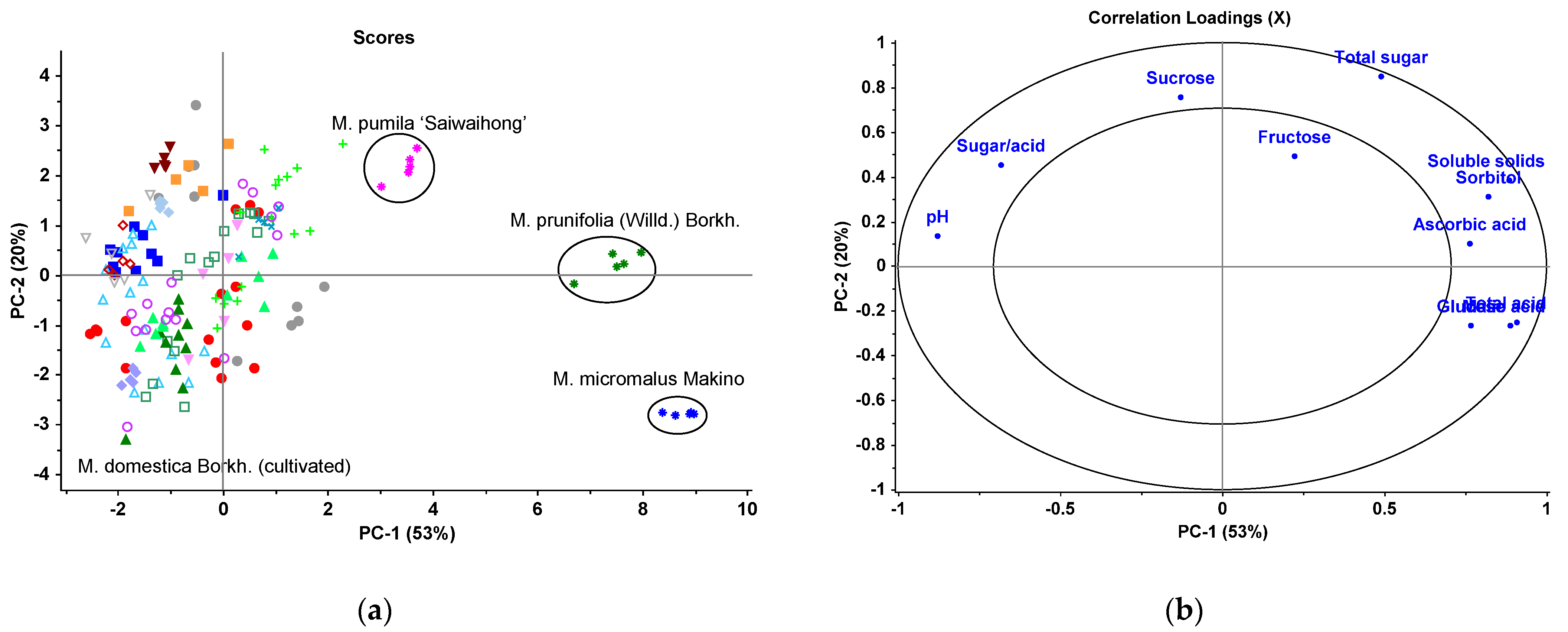 Foods 10 02950 g002 550