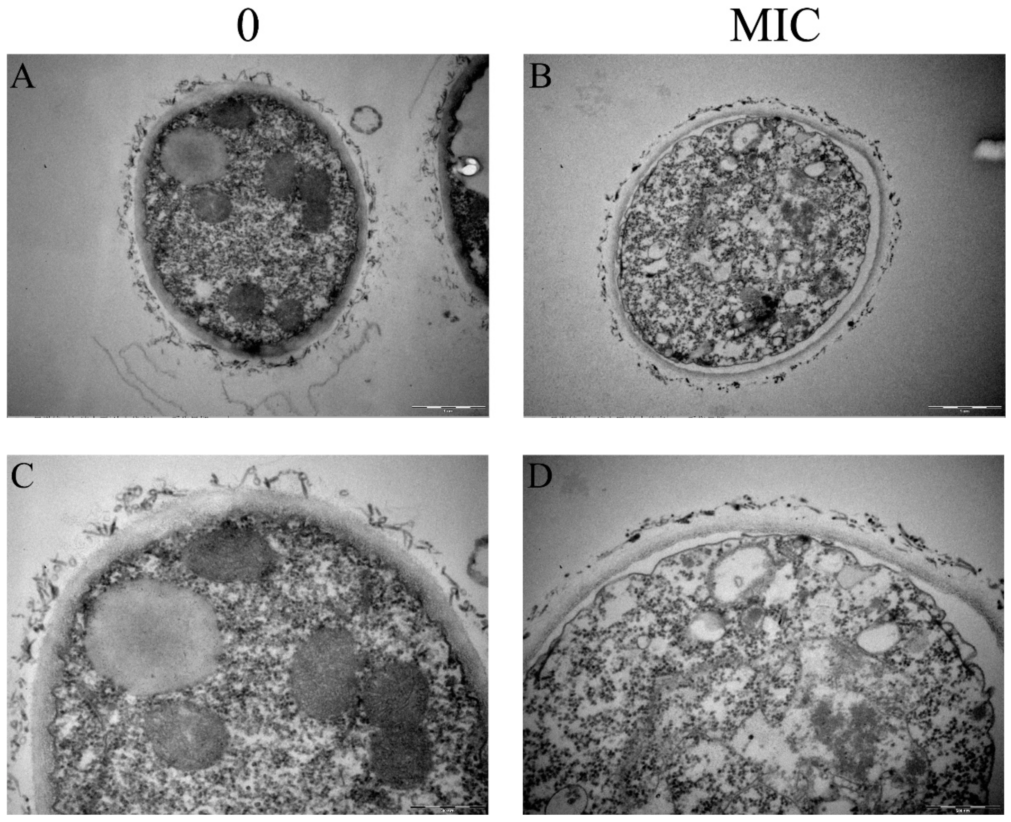 Foods 10 02951 g001 Foods 10 02951 g001